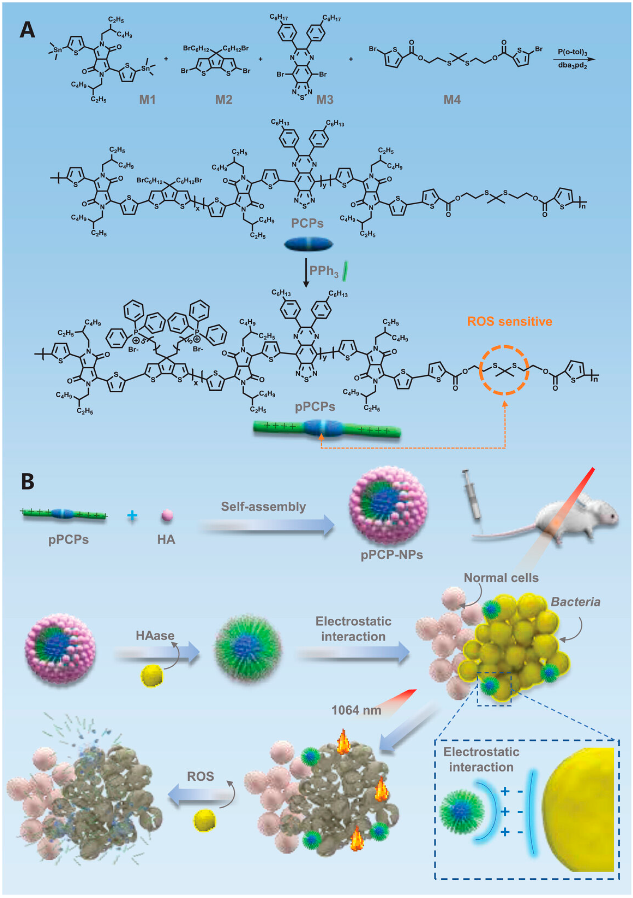 Nanomaterials 13 02269 g012