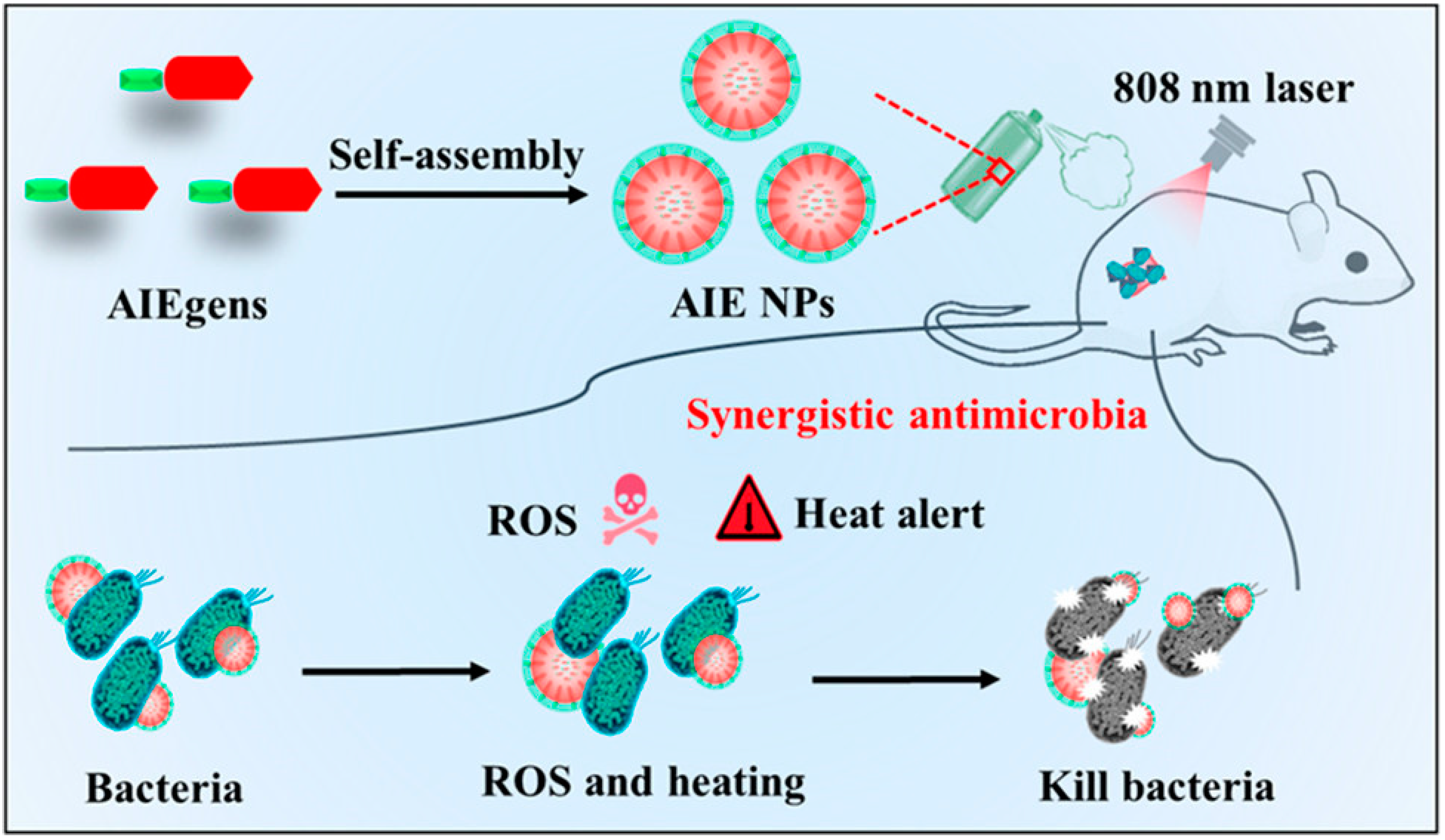 Nanomaterials 13 02269 g013