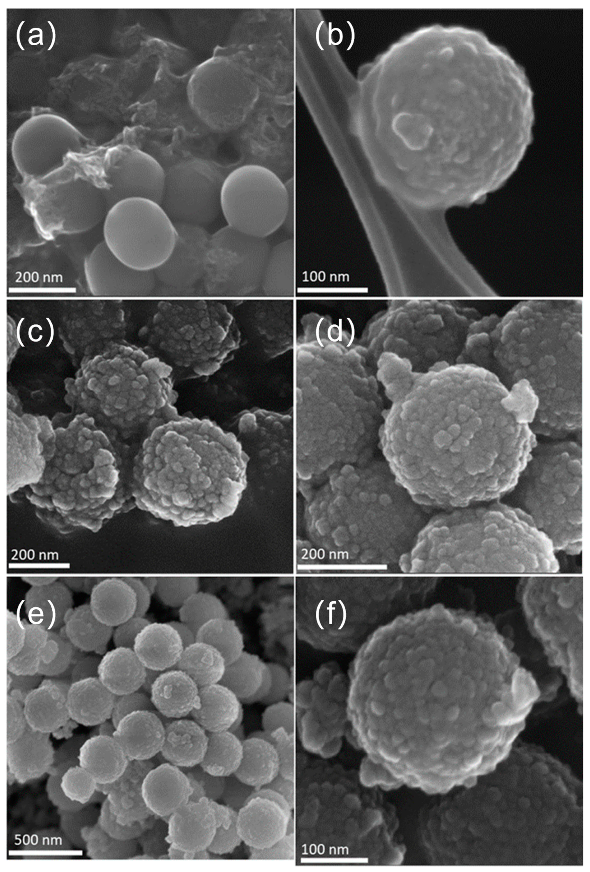 Nanomaterials 13 02276 g003 Nanomaterials 13 02276 g003