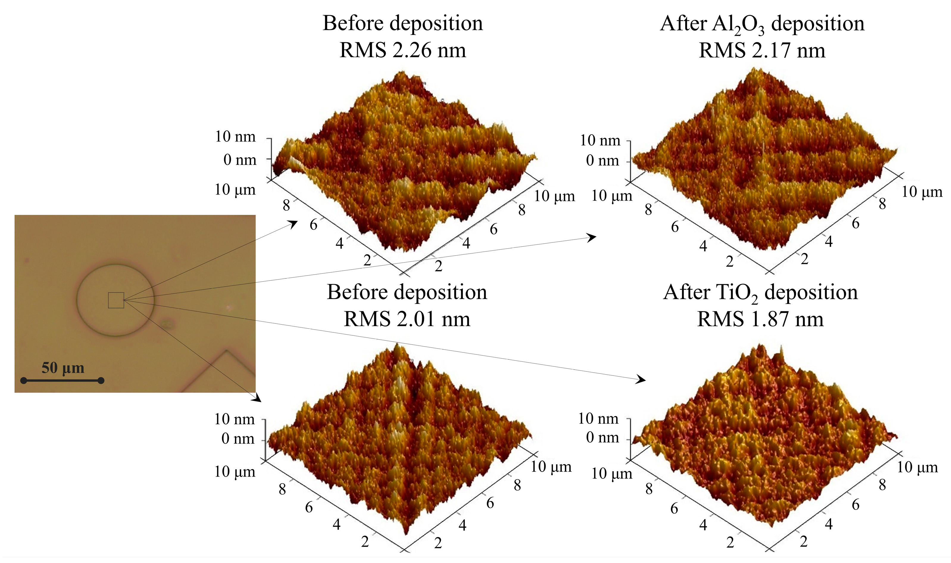 Nanomaterials 13 02281 g007
