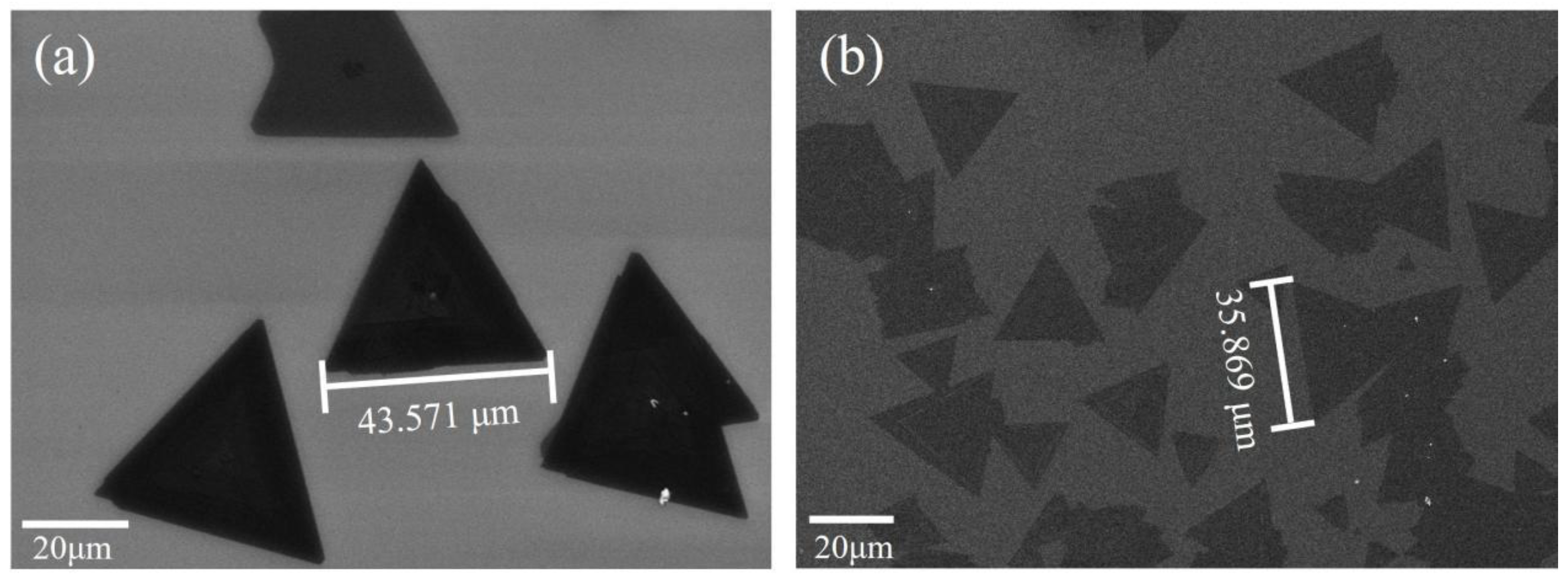 Nanomaterials 13 02283 g007 Nanomaterials 13 02283 g007