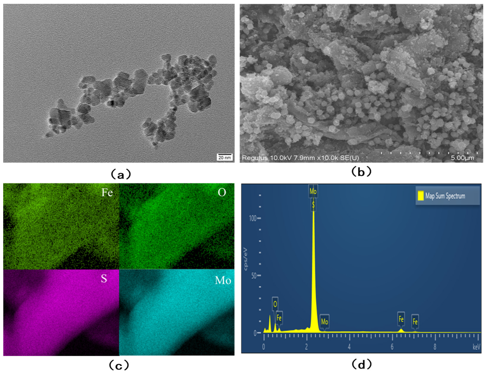 Nanomaterials 13 02288 g001