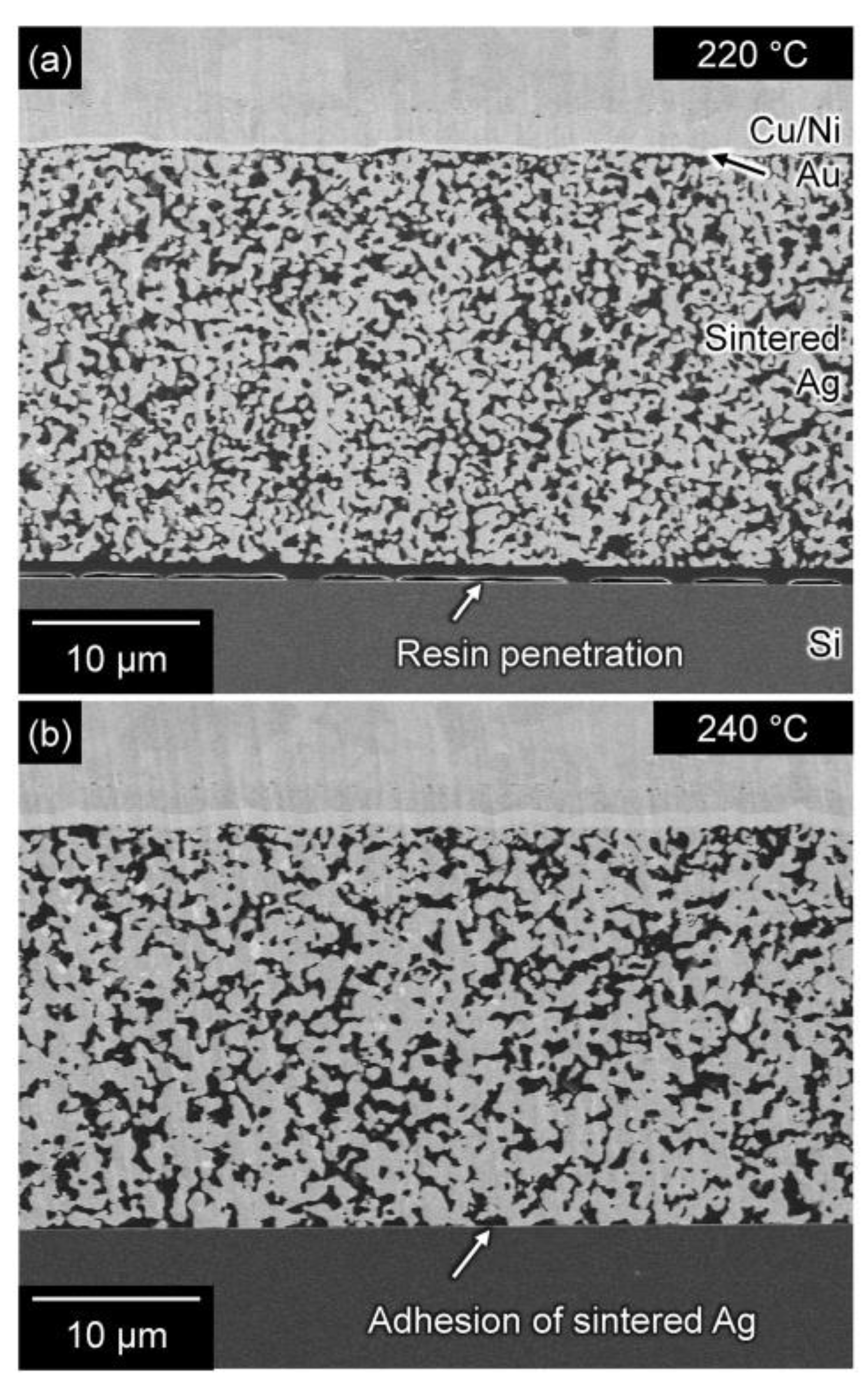 Nanomaterials 13 02292 g010 Nanomaterials 13 02292 g010