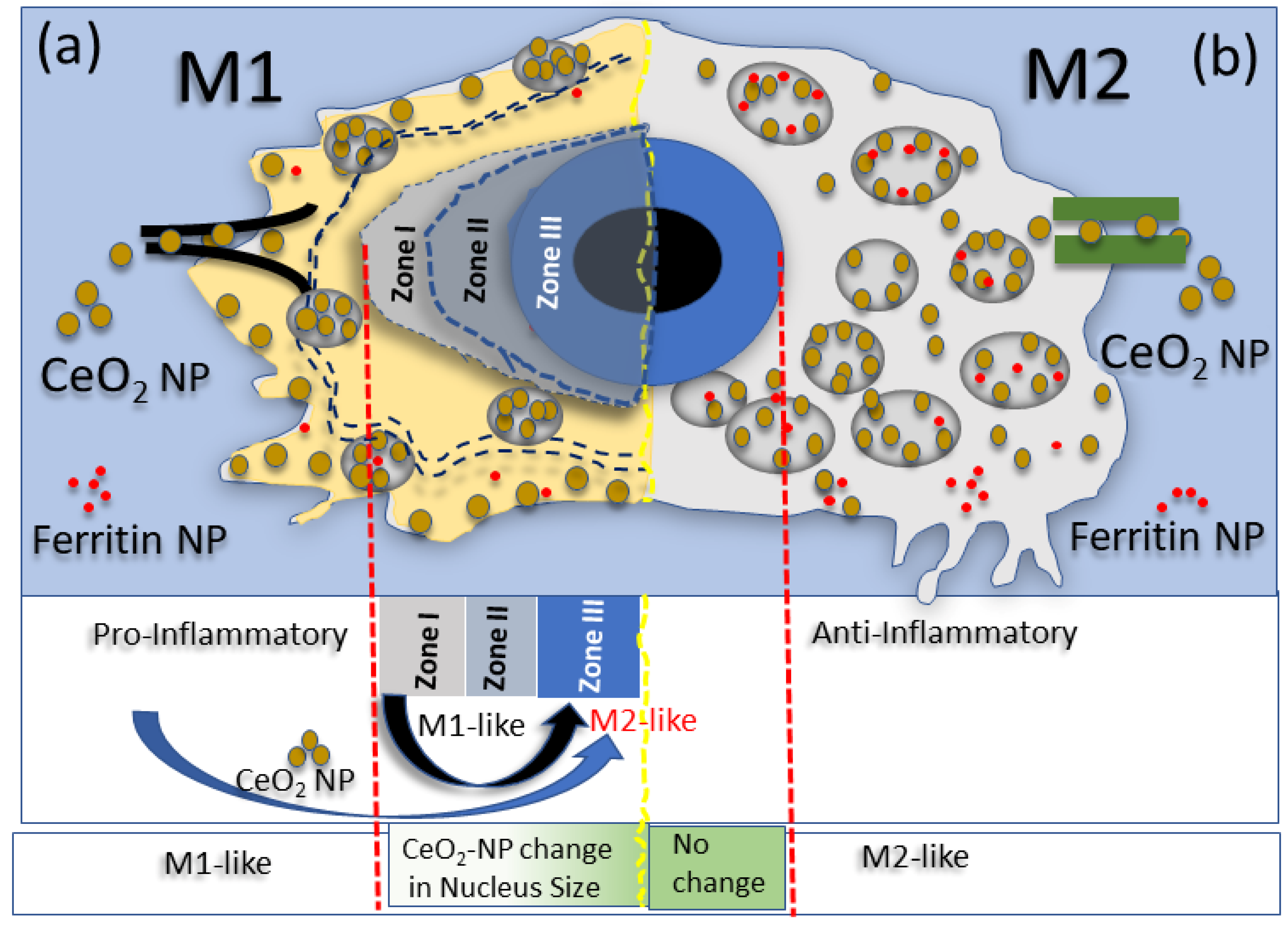 Nanomaterials 13 02298 g006