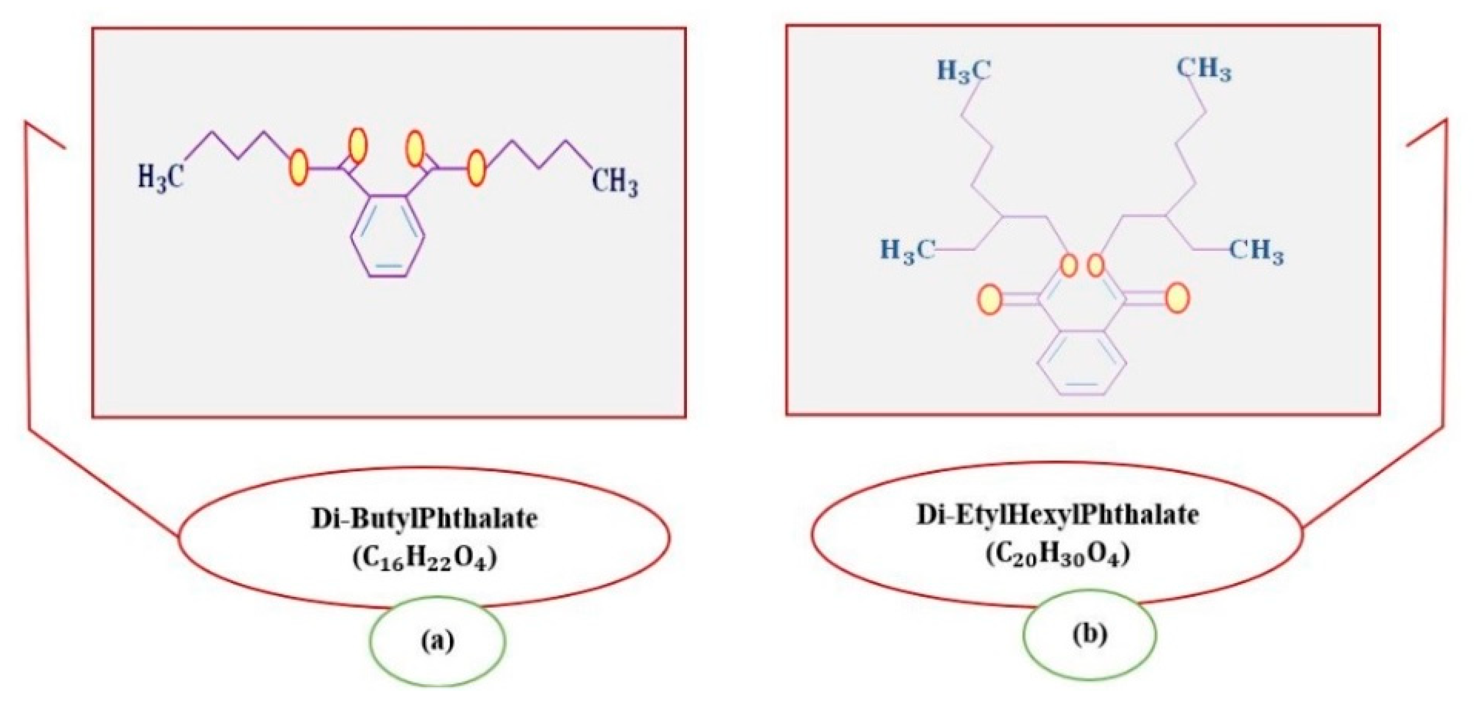 Nanomaterials Free FullText Retention of Phthalates in Wine Using