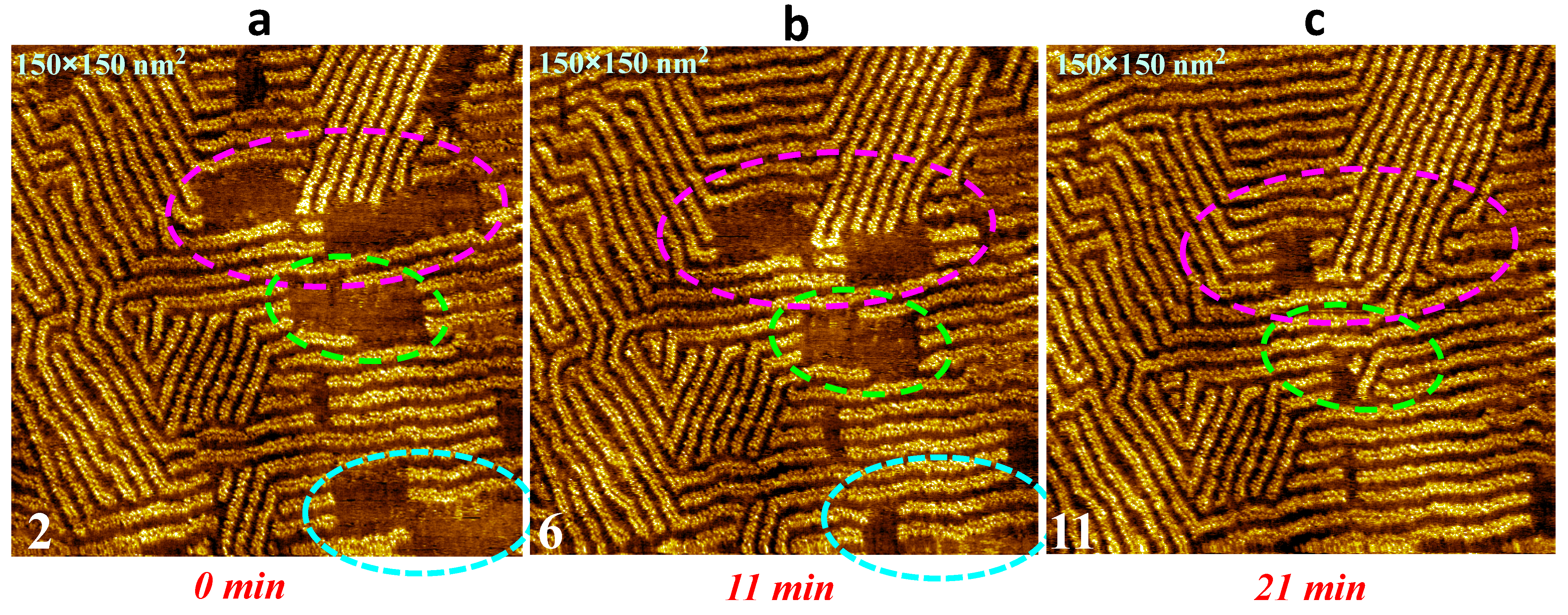 Nanomaterials 13 02304 g005 Nanomaterials 13 02304 g005