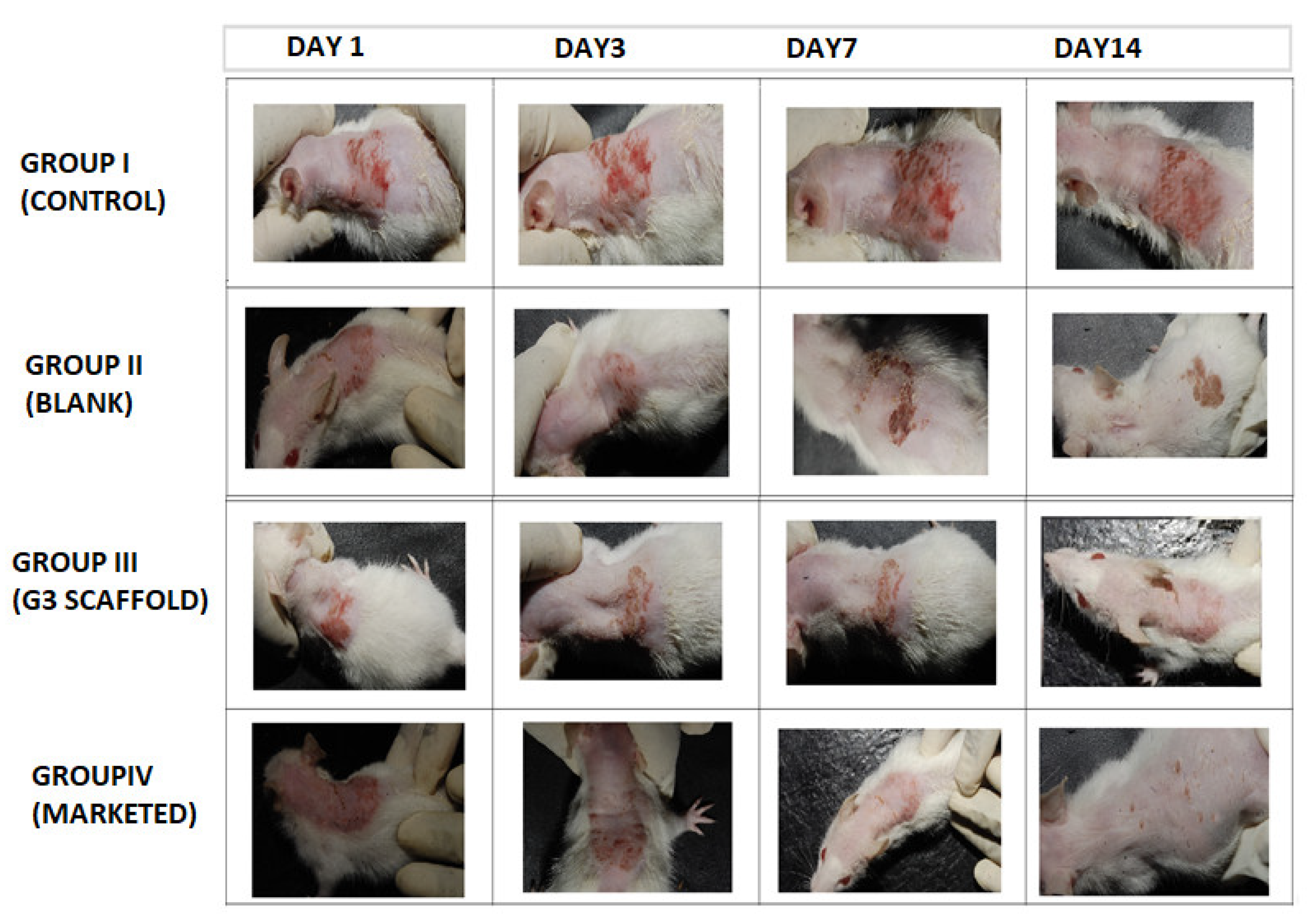 Nanomaterials 13 02305 g008 Nanomaterials 13 02305 g008