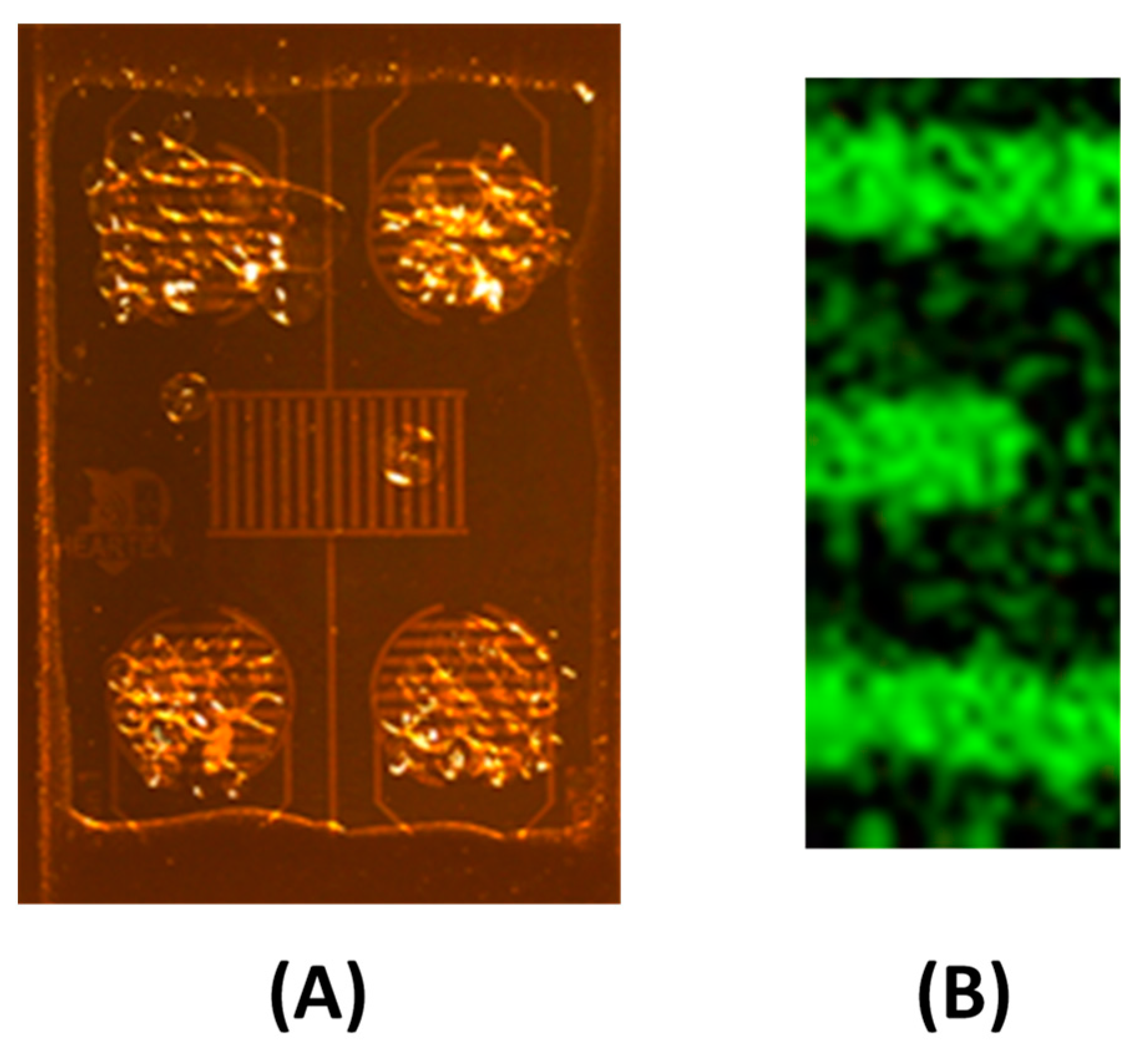 Nanomaterials 13 02316 g005 Nanomaterials 13 02316 g005