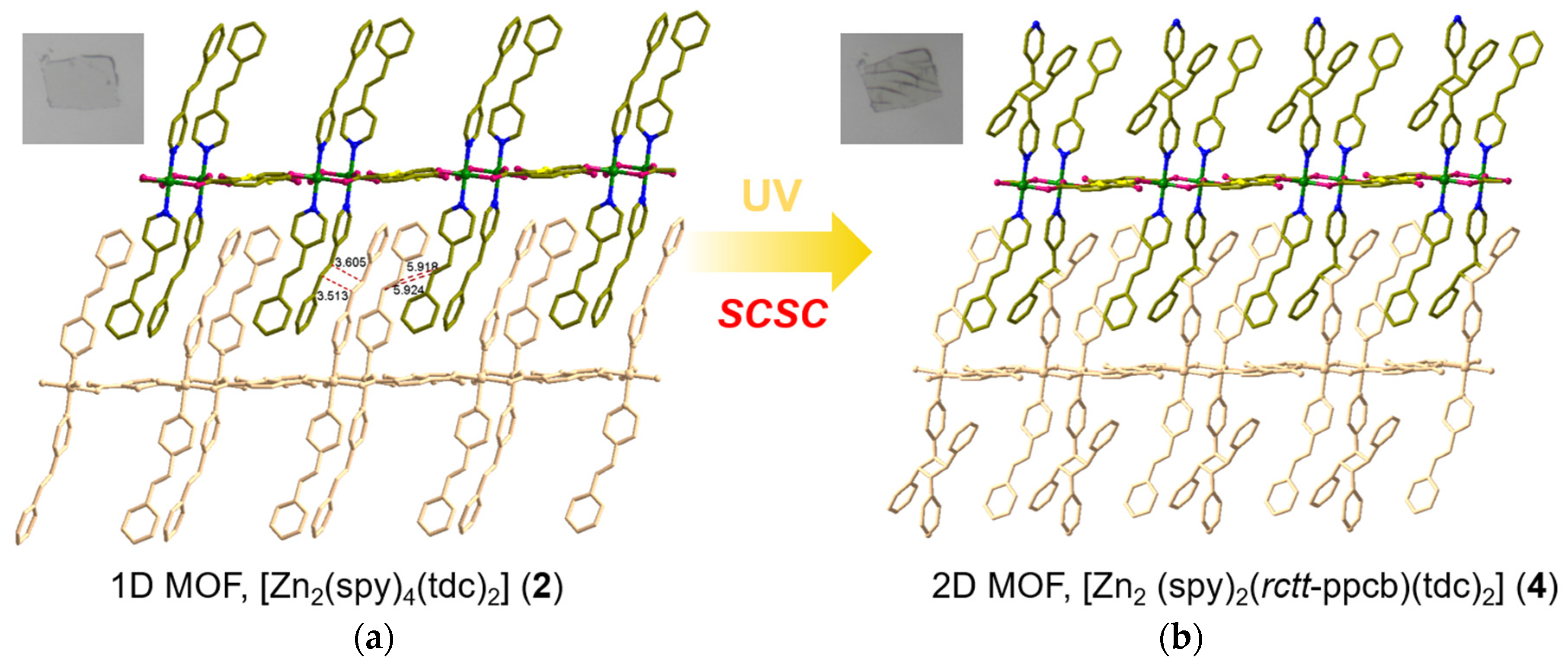 Solid-State Structural Transformation in Zn(II) Metal