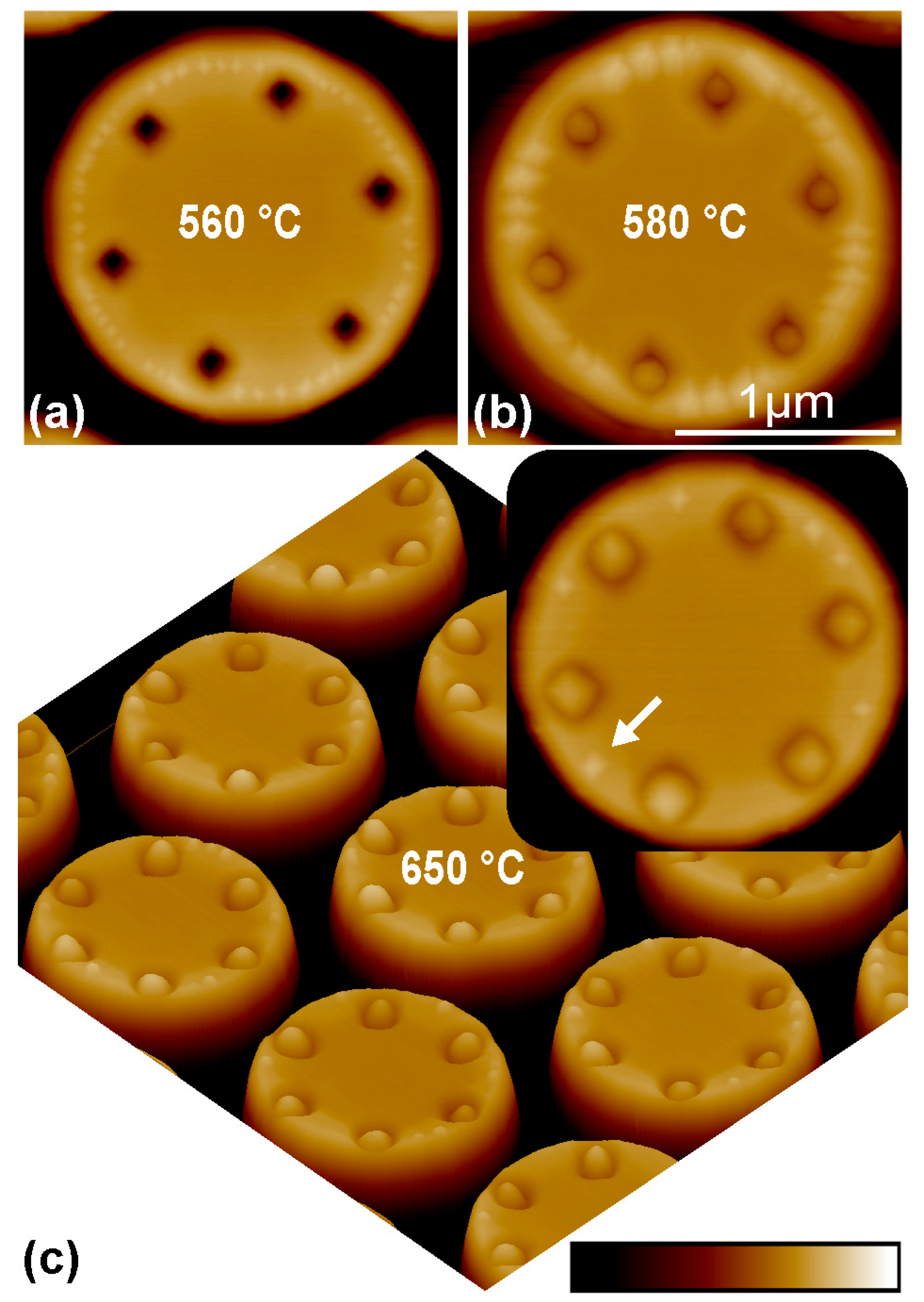 Nanomaterials 13 02323 g003