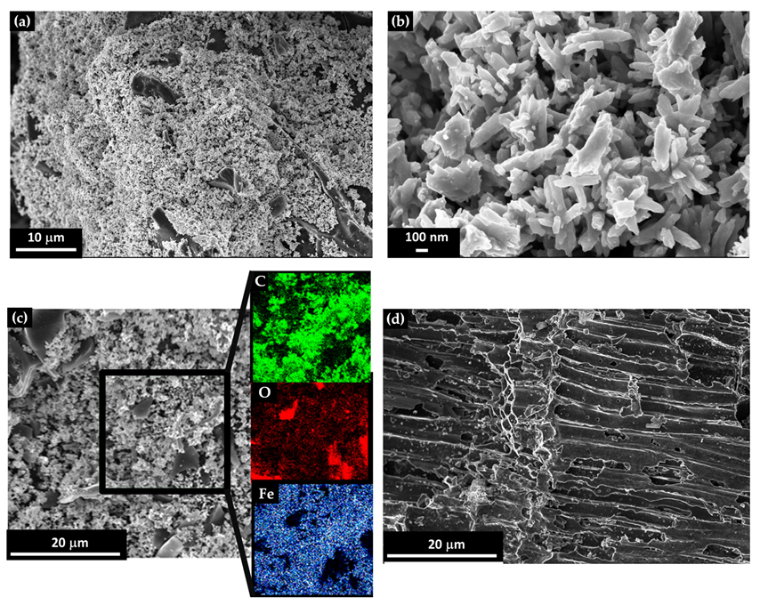 Nanomaterials 13 02326 g001