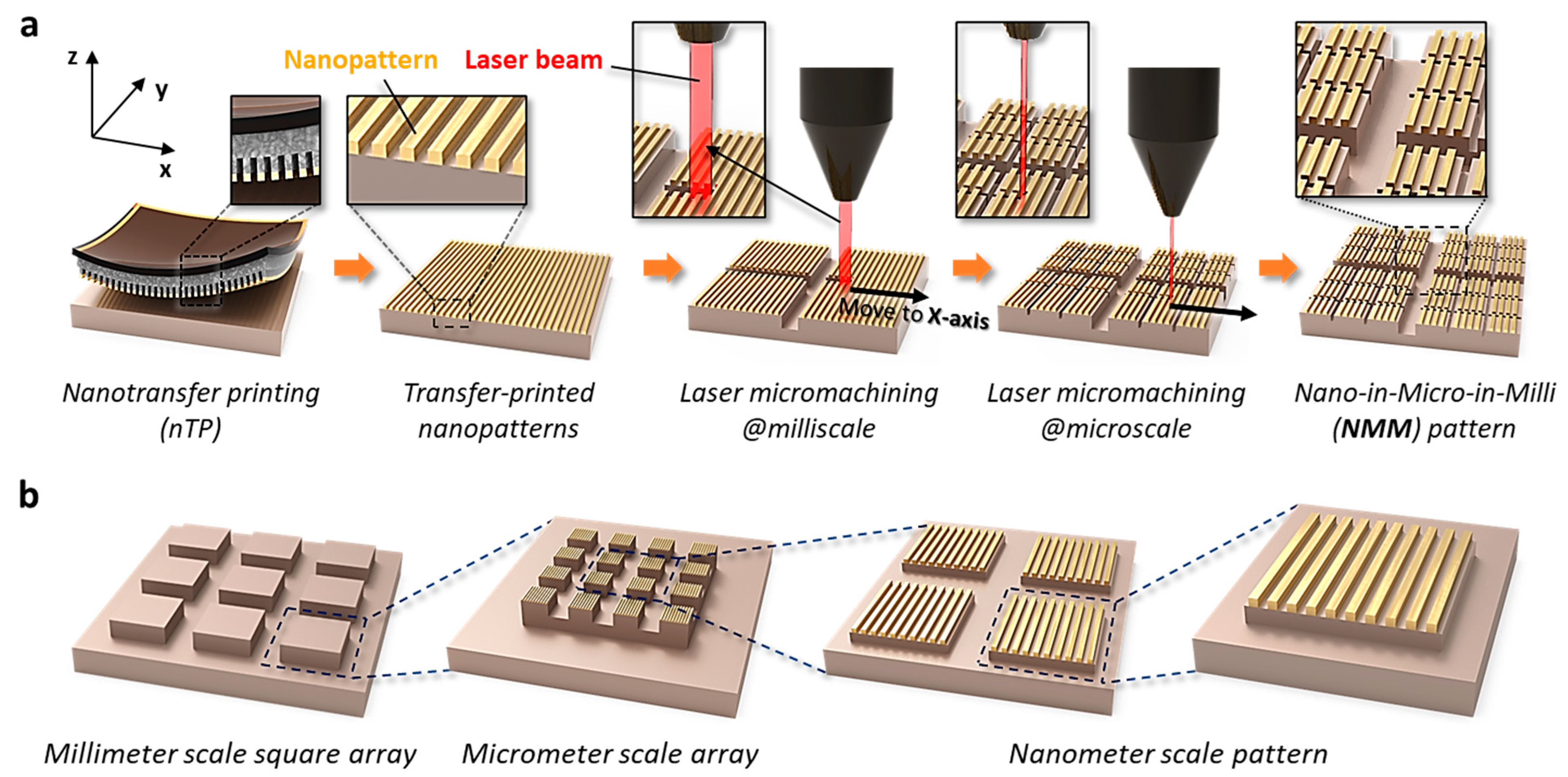 Nanomaterials 13 02327 g001 Nanomaterials 13 02327 g001