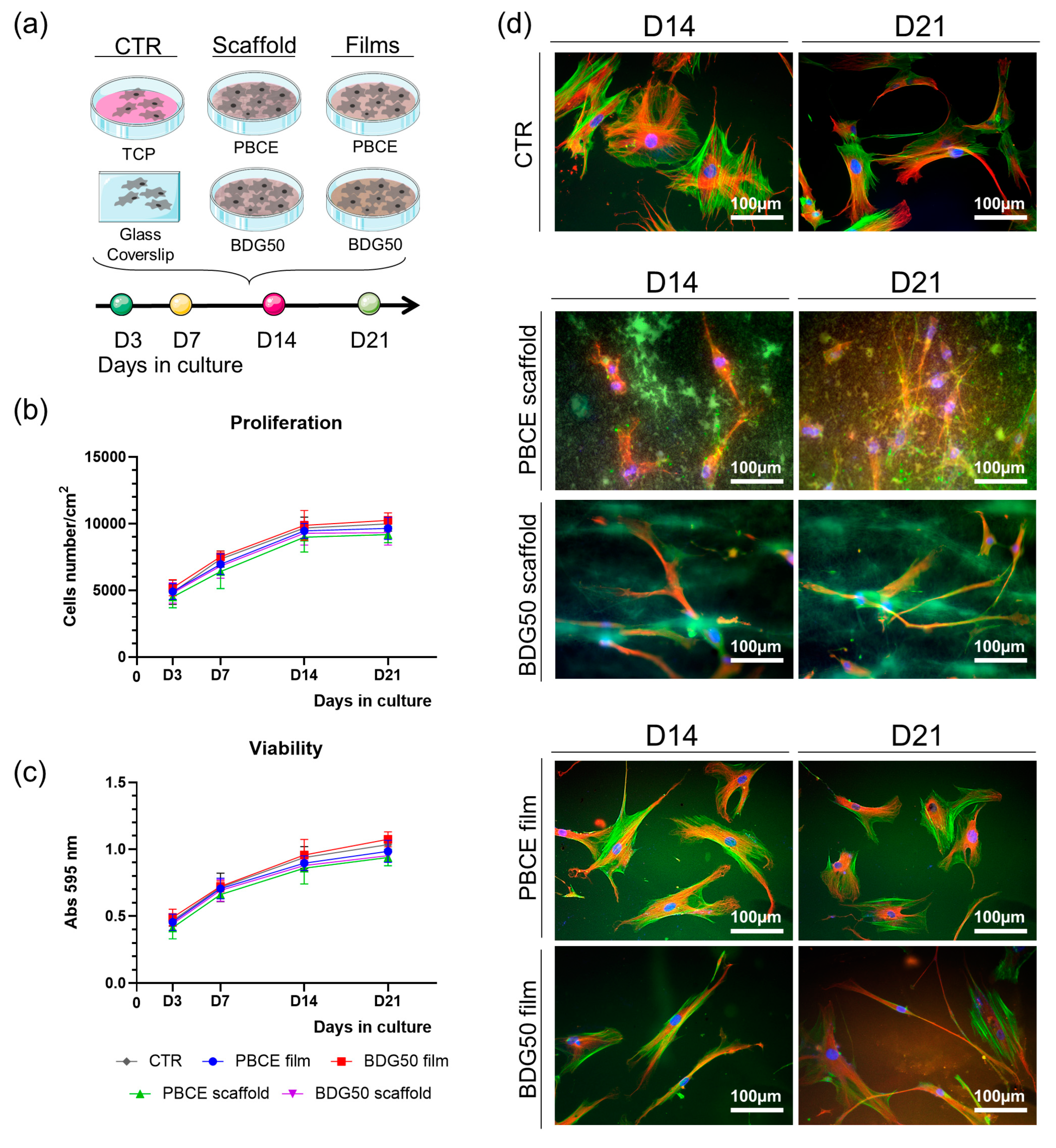Nanomaterials 13 02330 g011 Nanomaterials 13 02330 g011