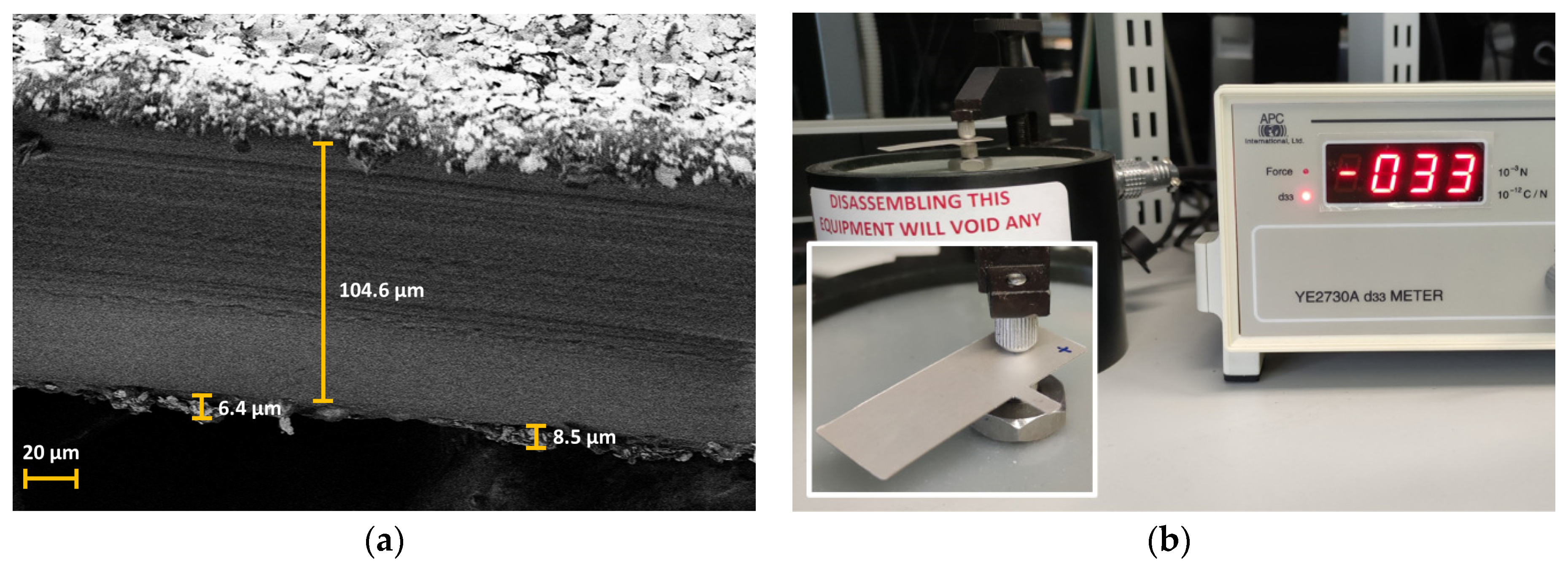 Nanomaterials 13 02334 g010