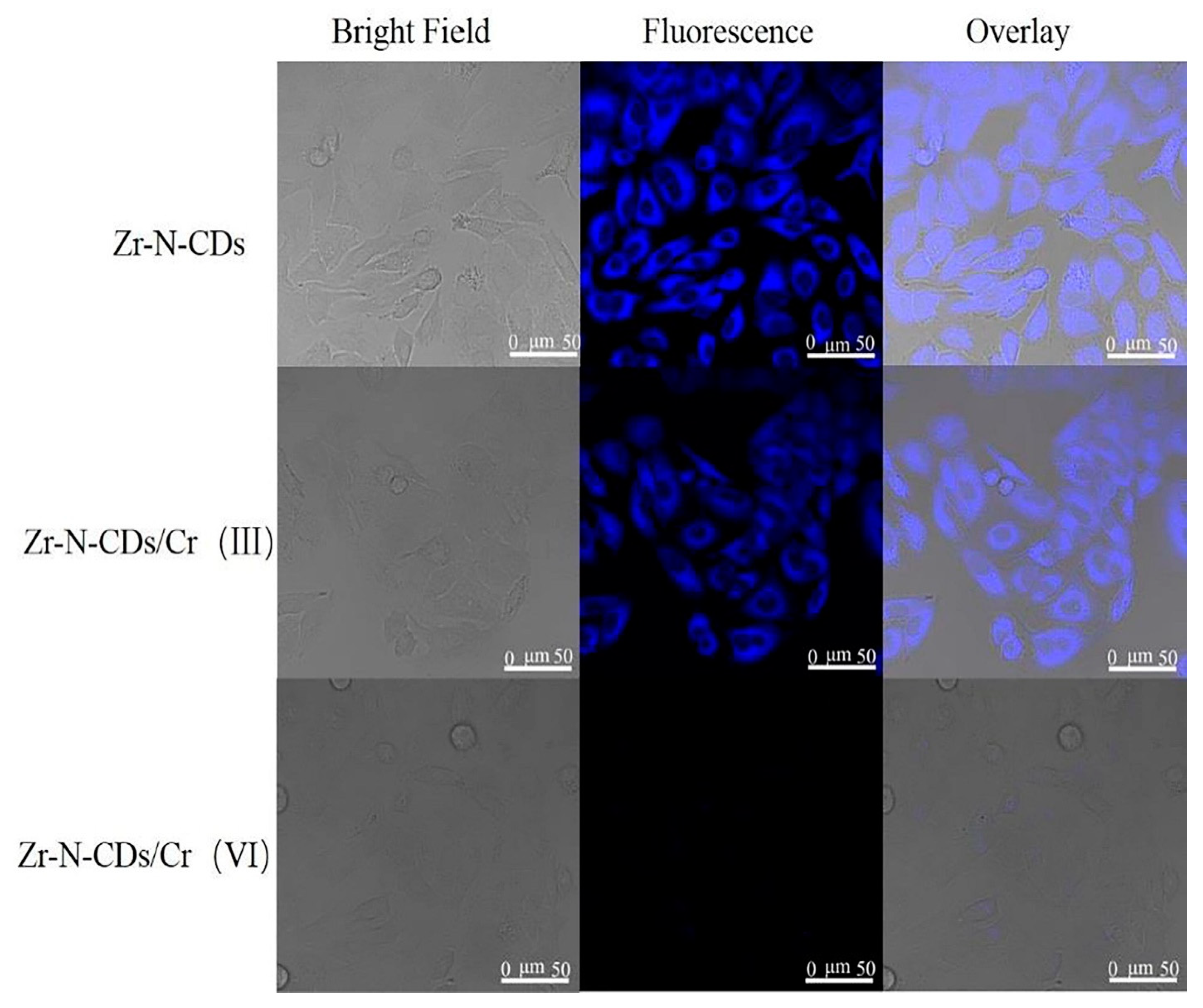 Nanomaterials 13 02336 g011 Nanomaterials 13 02336 g011