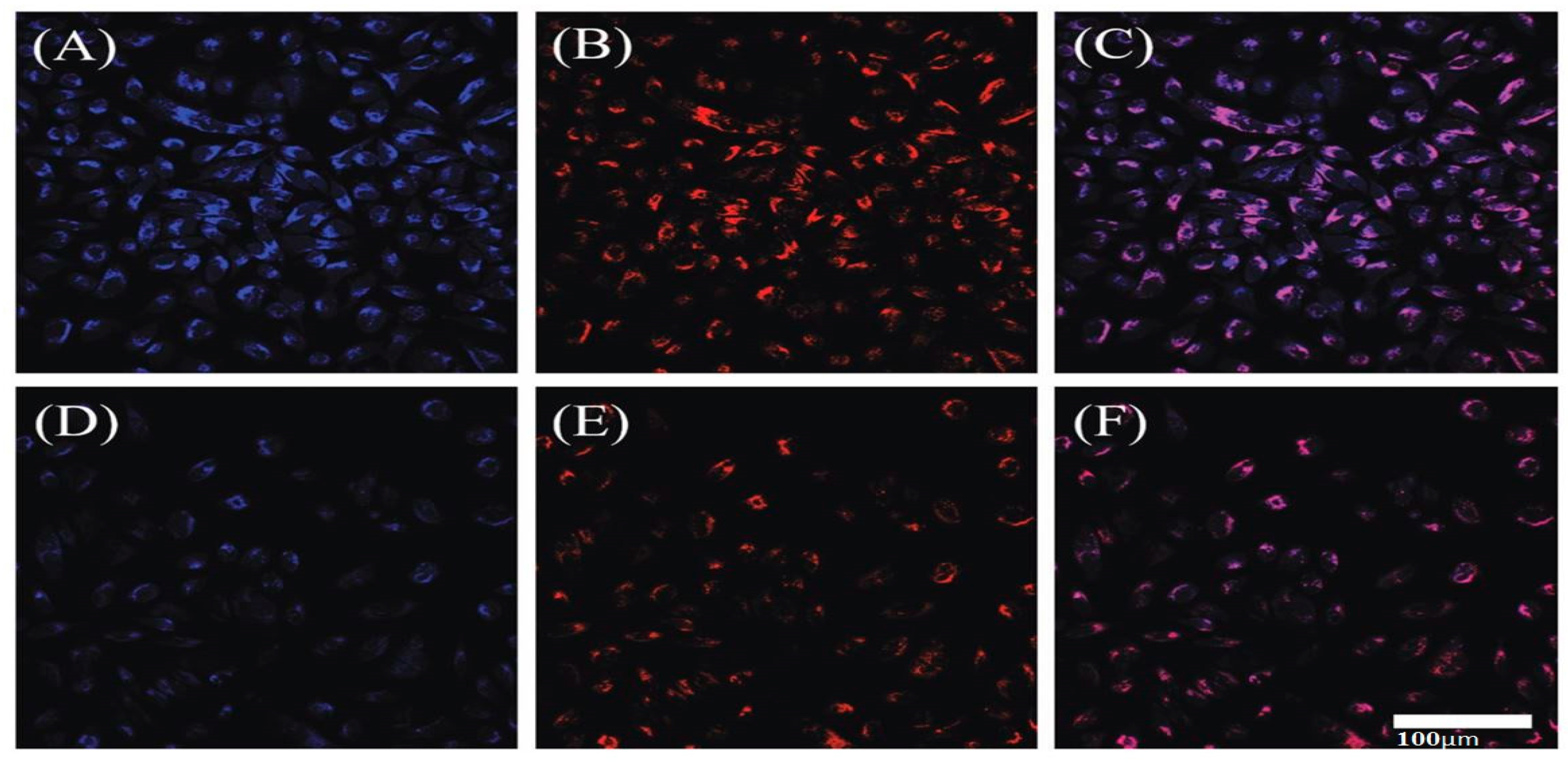 Nanomaterials 13 02336 g012 Nanomaterials 13 02336 g012