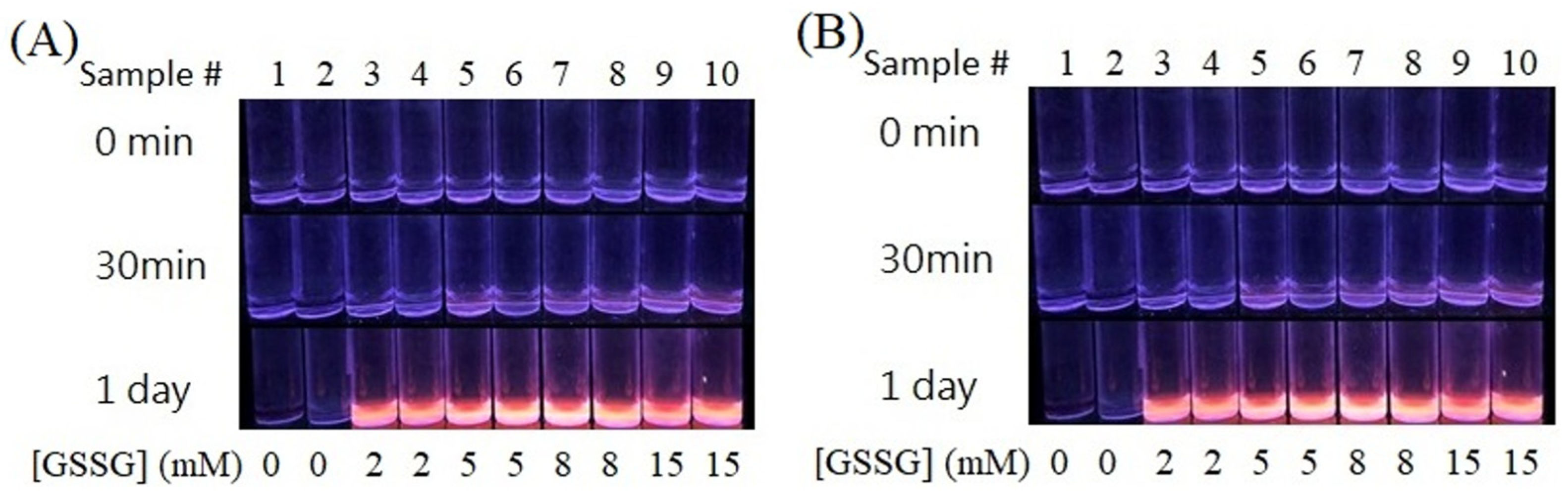 Nanomaterials 13 02338 g002