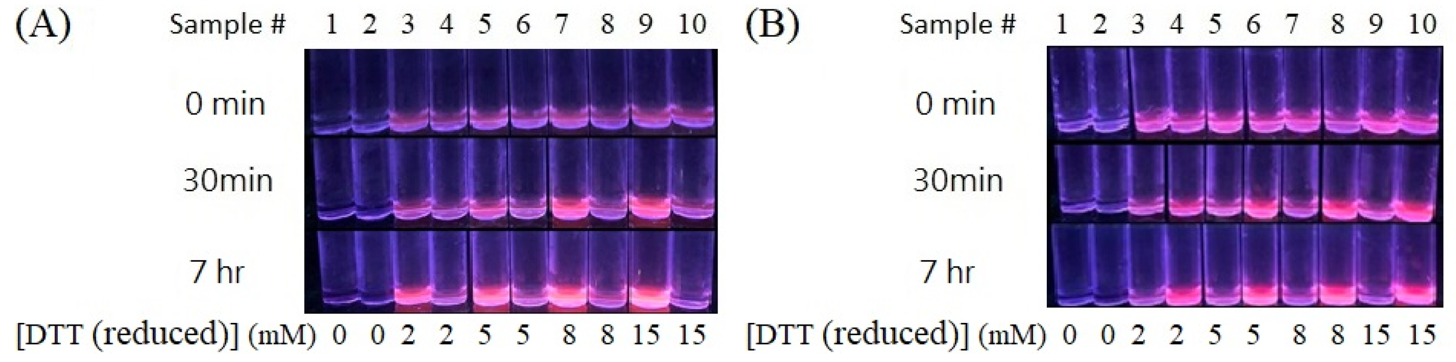 Nanomaterials 13 02338 g003
