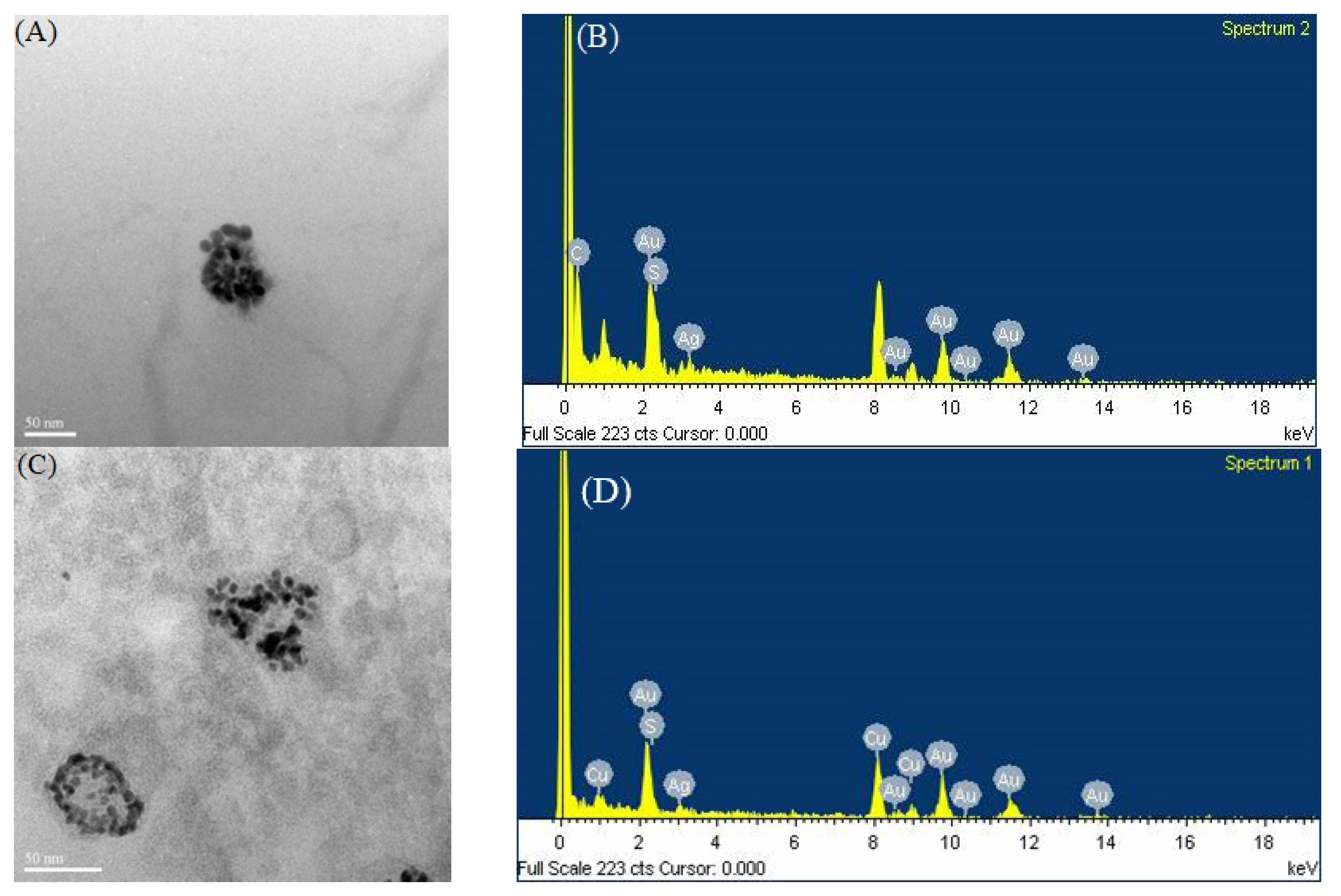 Nanomaterials 13 02338 g008