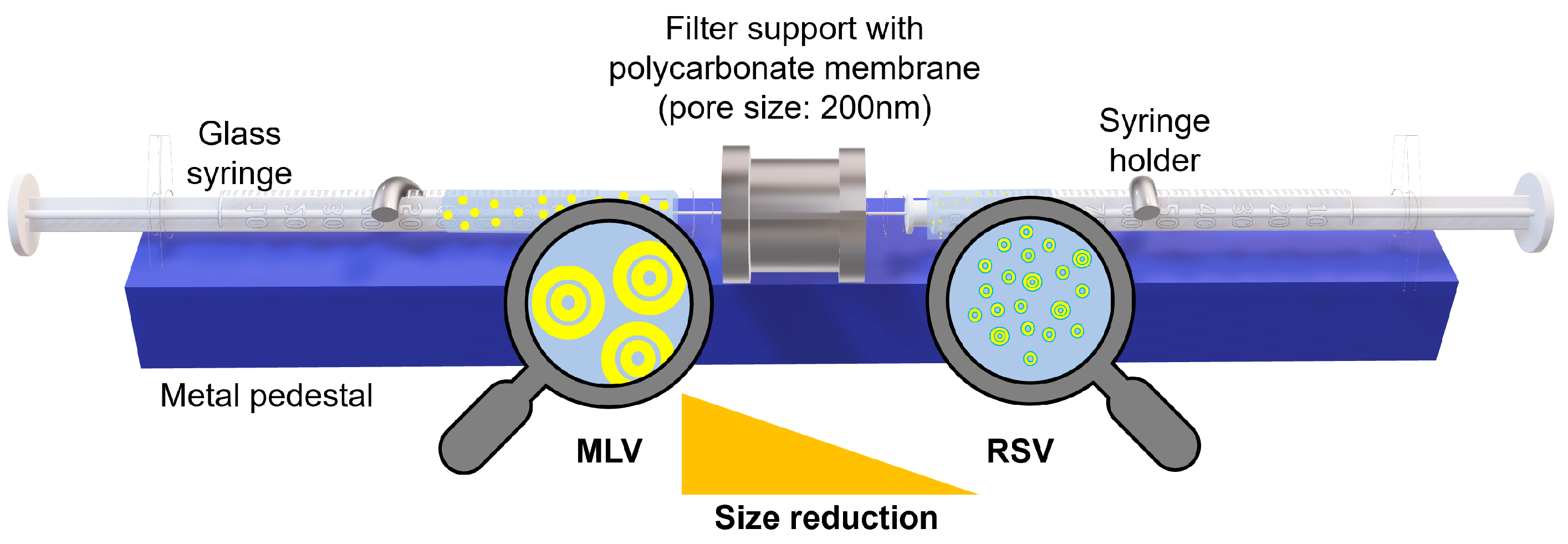 Nanomaterials 13 02340 g001 Nanomaterials 13 02340 g001