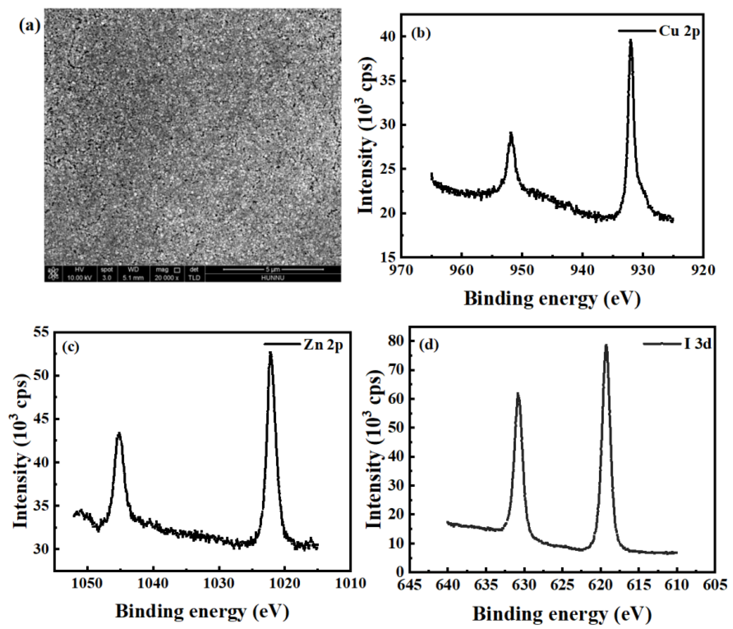 Nanomaterials 13 02345 g002