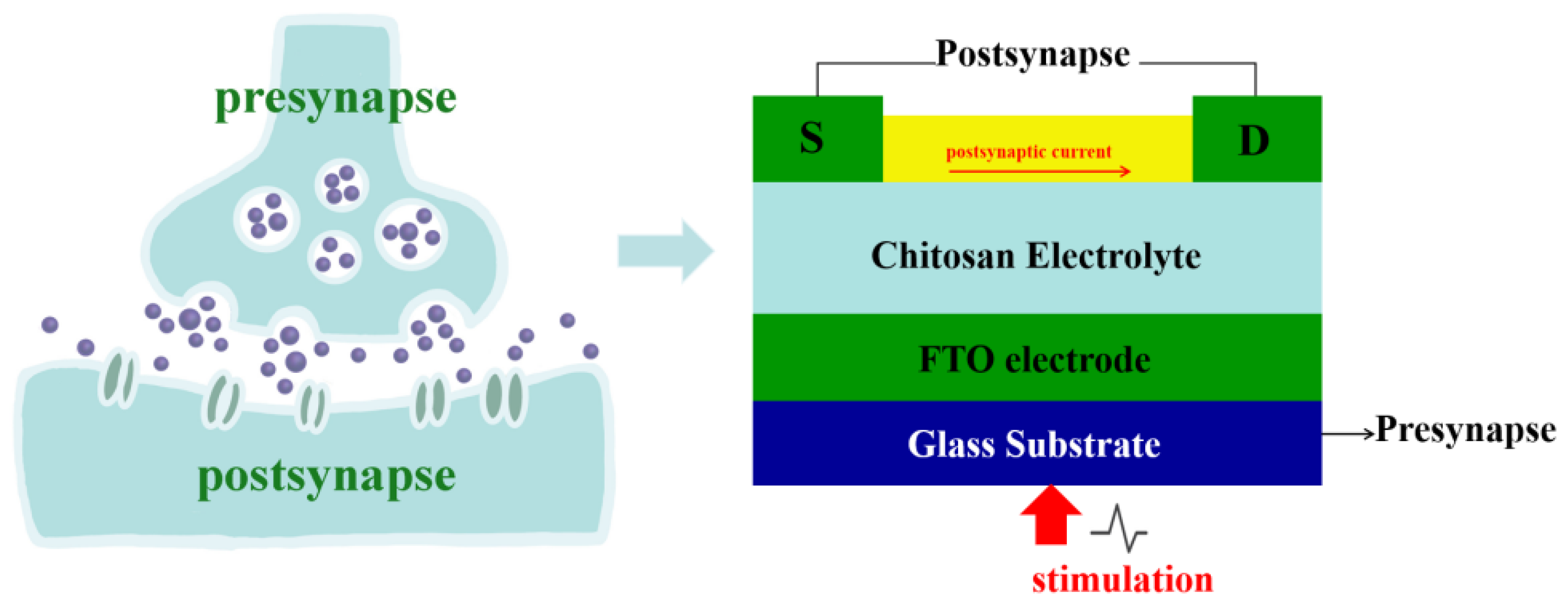 Nanomaterials 13 02345 g006