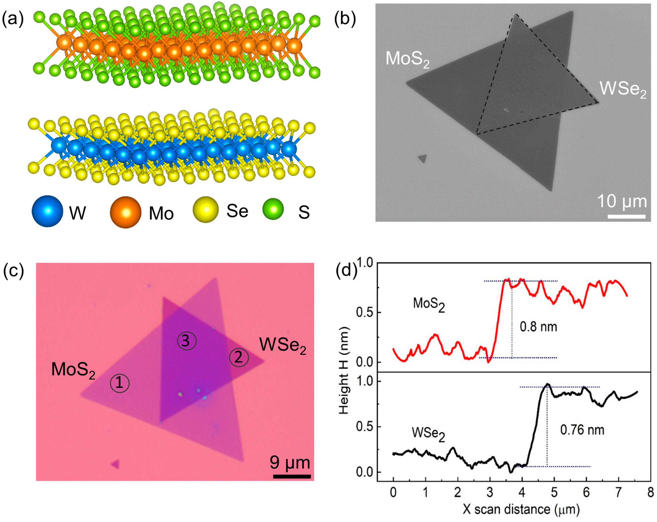 Nanomaterials 13 02349 g001