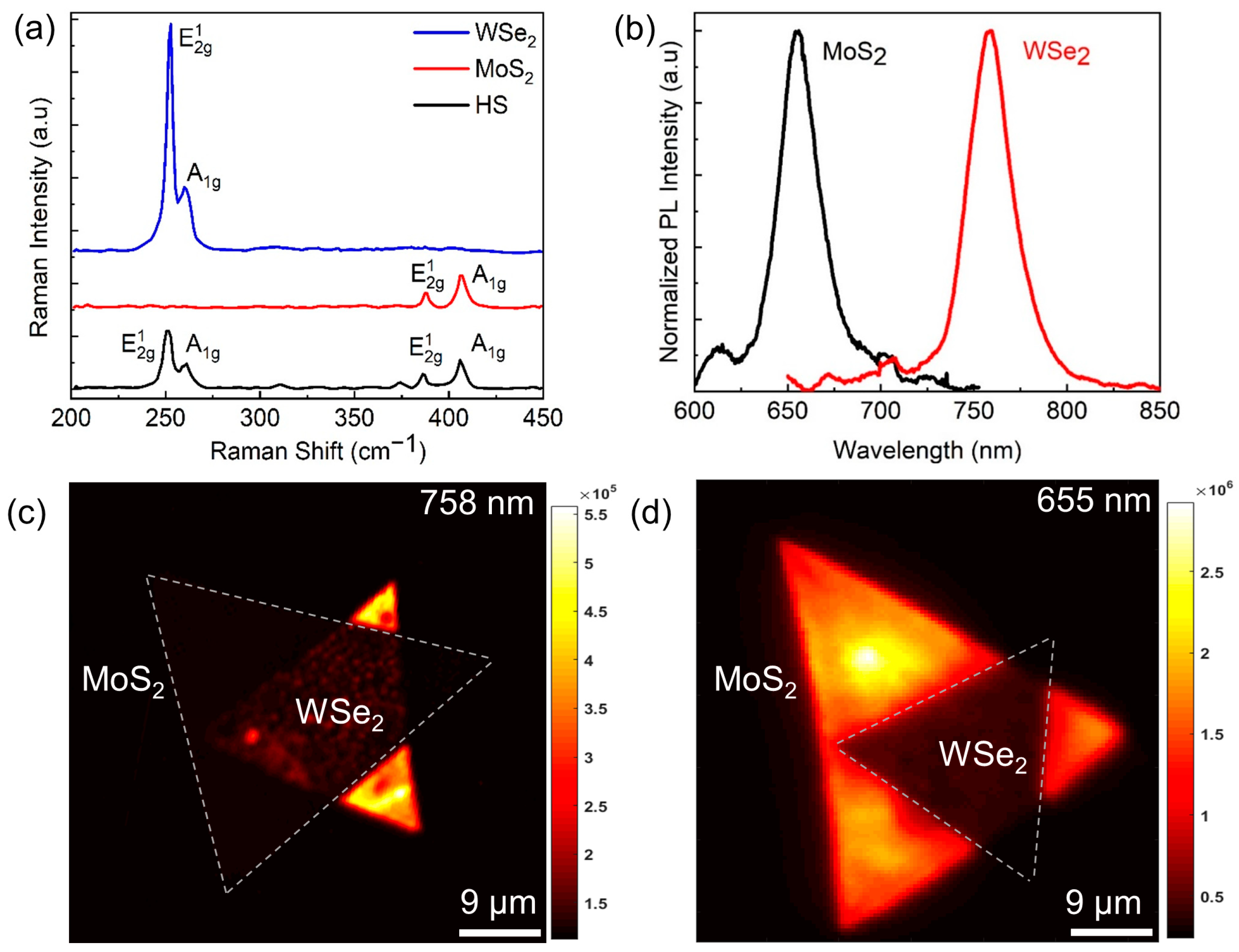 Nanomaterials 13 02349 g002
