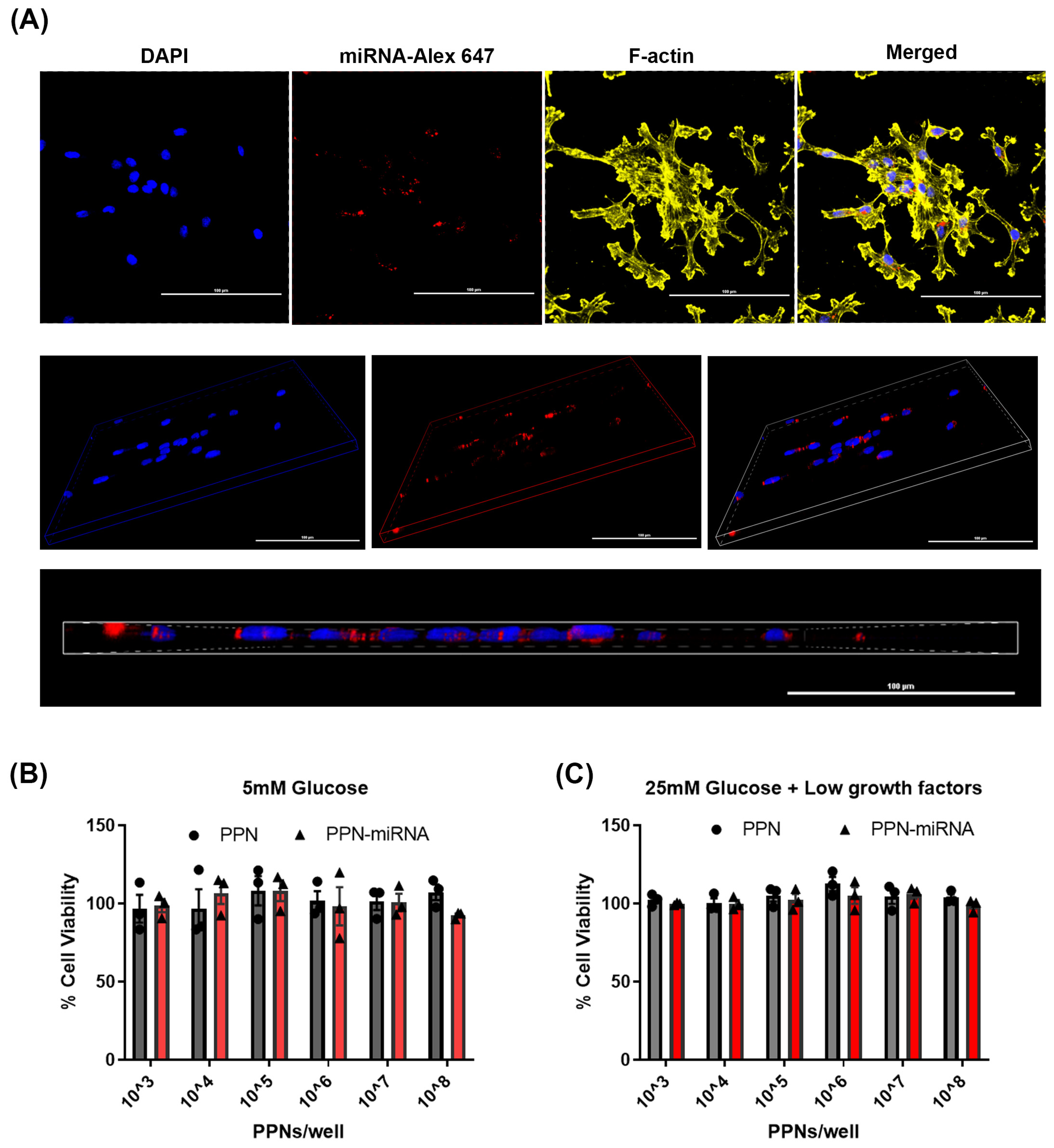 Nanomaterials 13 02360 g002