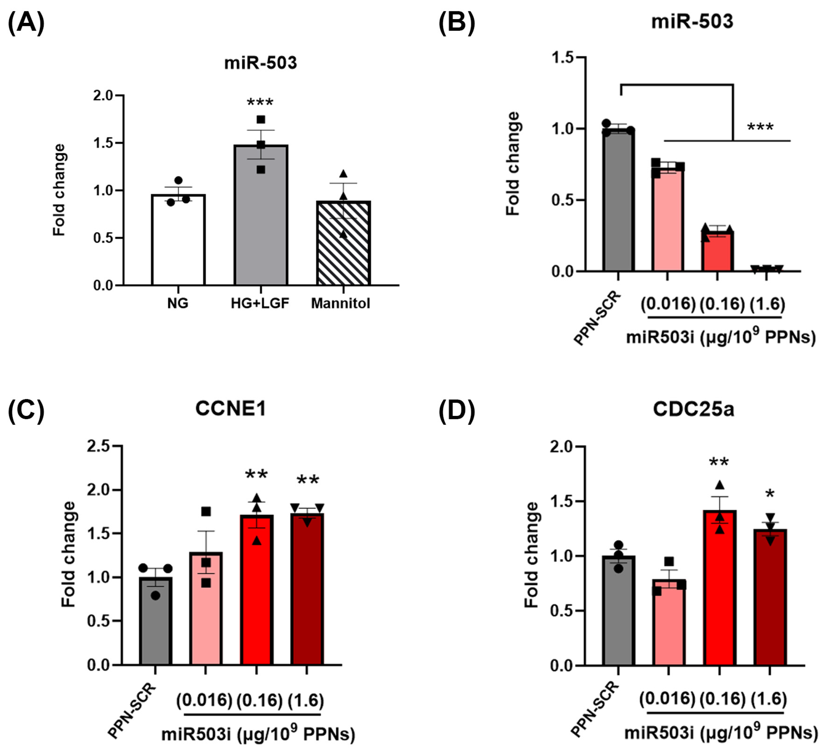 Nanomaterials 13 02360 g003