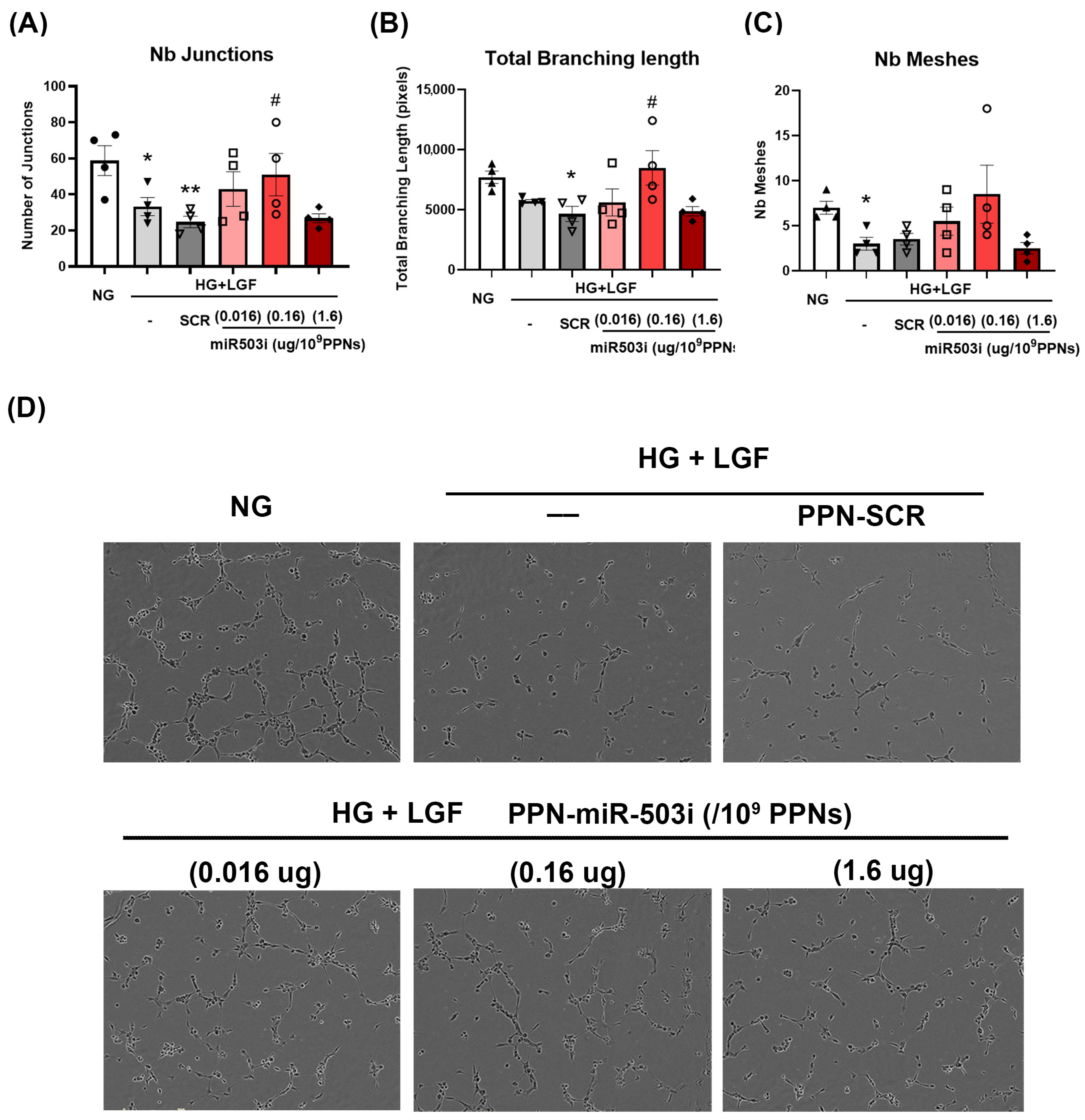 Nanomaterials 13 02360 g004