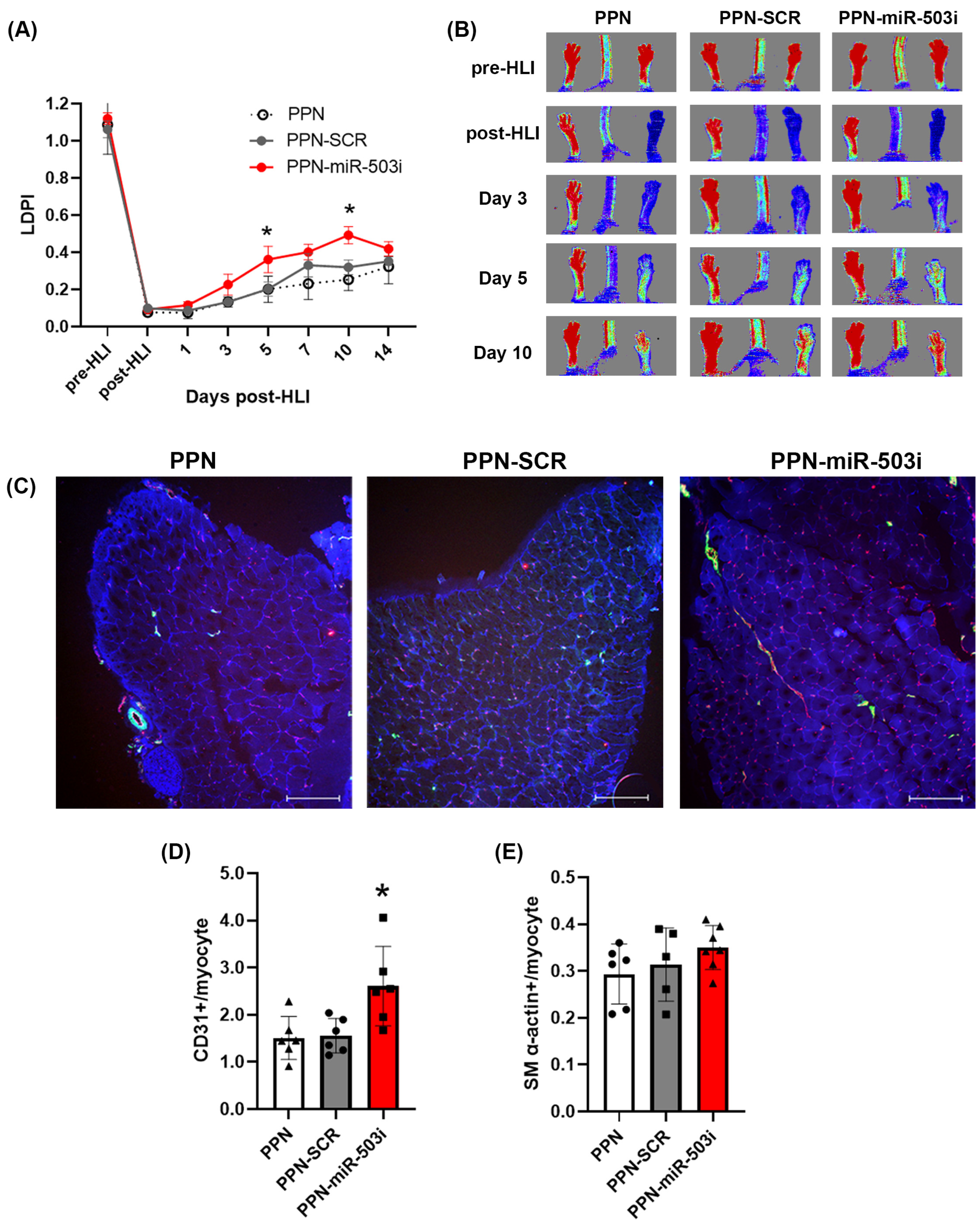 Nanomaterials 13 02360 g006