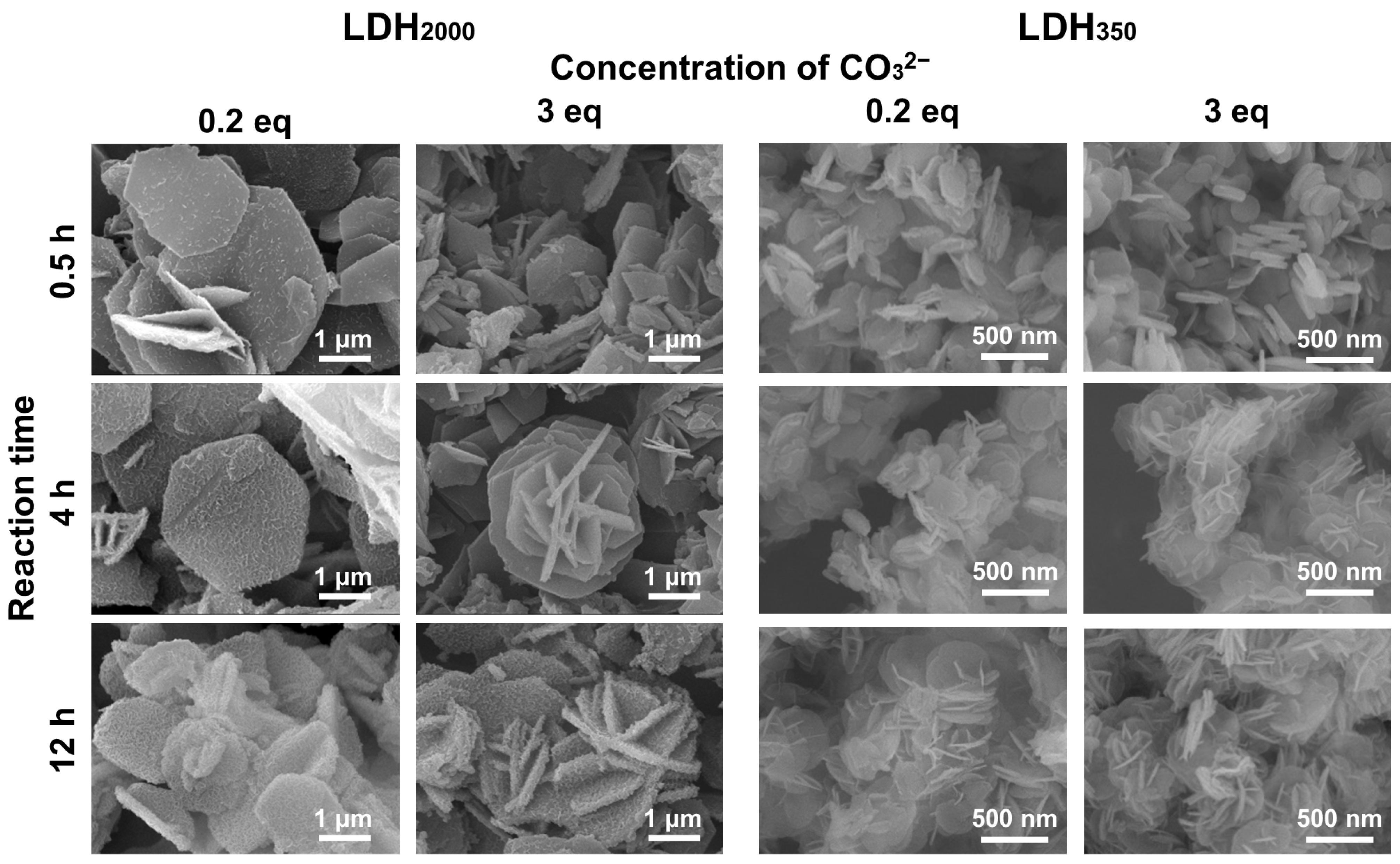 Nanomaterials 13 02363 g007