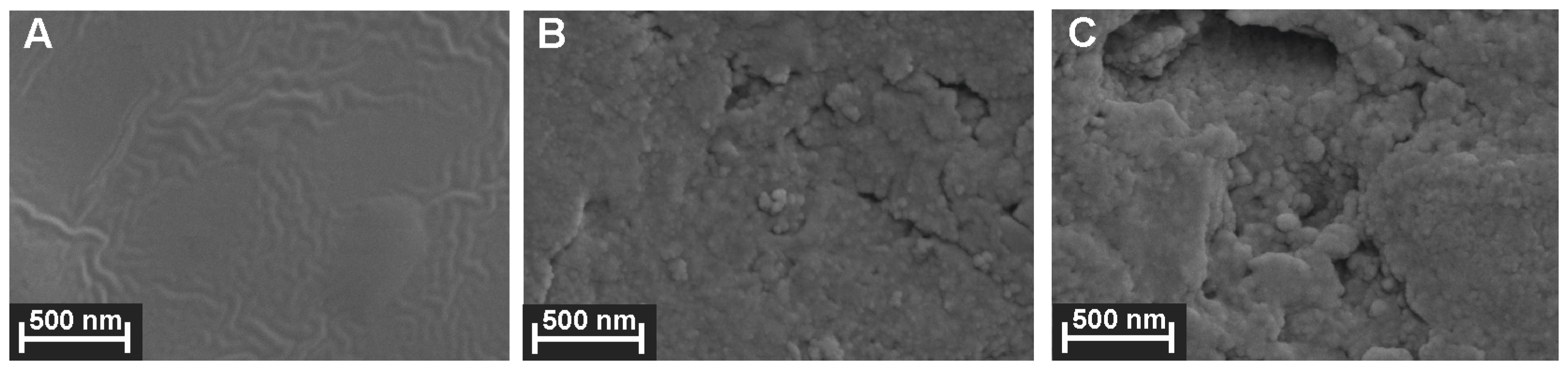 Nanomaterials 13 02369 g008