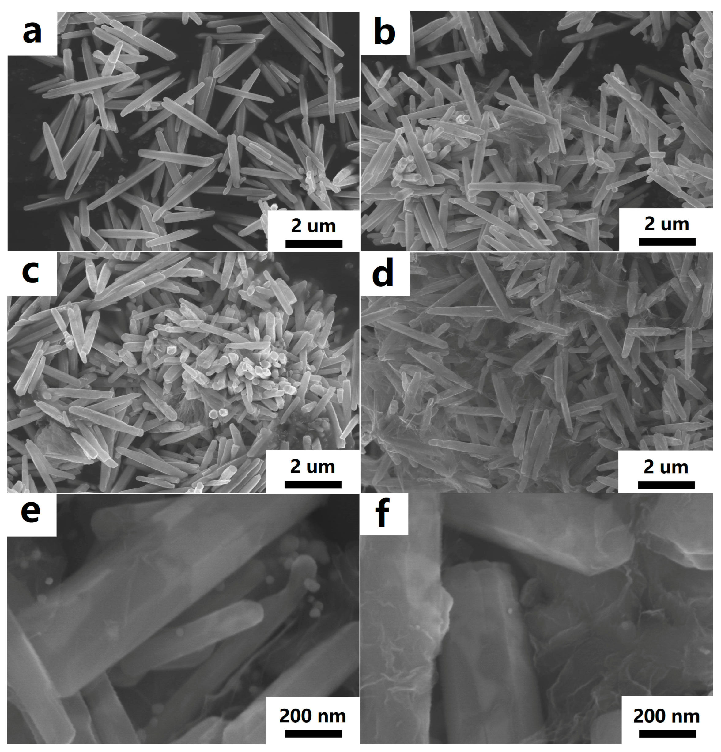 Nanomaterials 13 02370 g002
