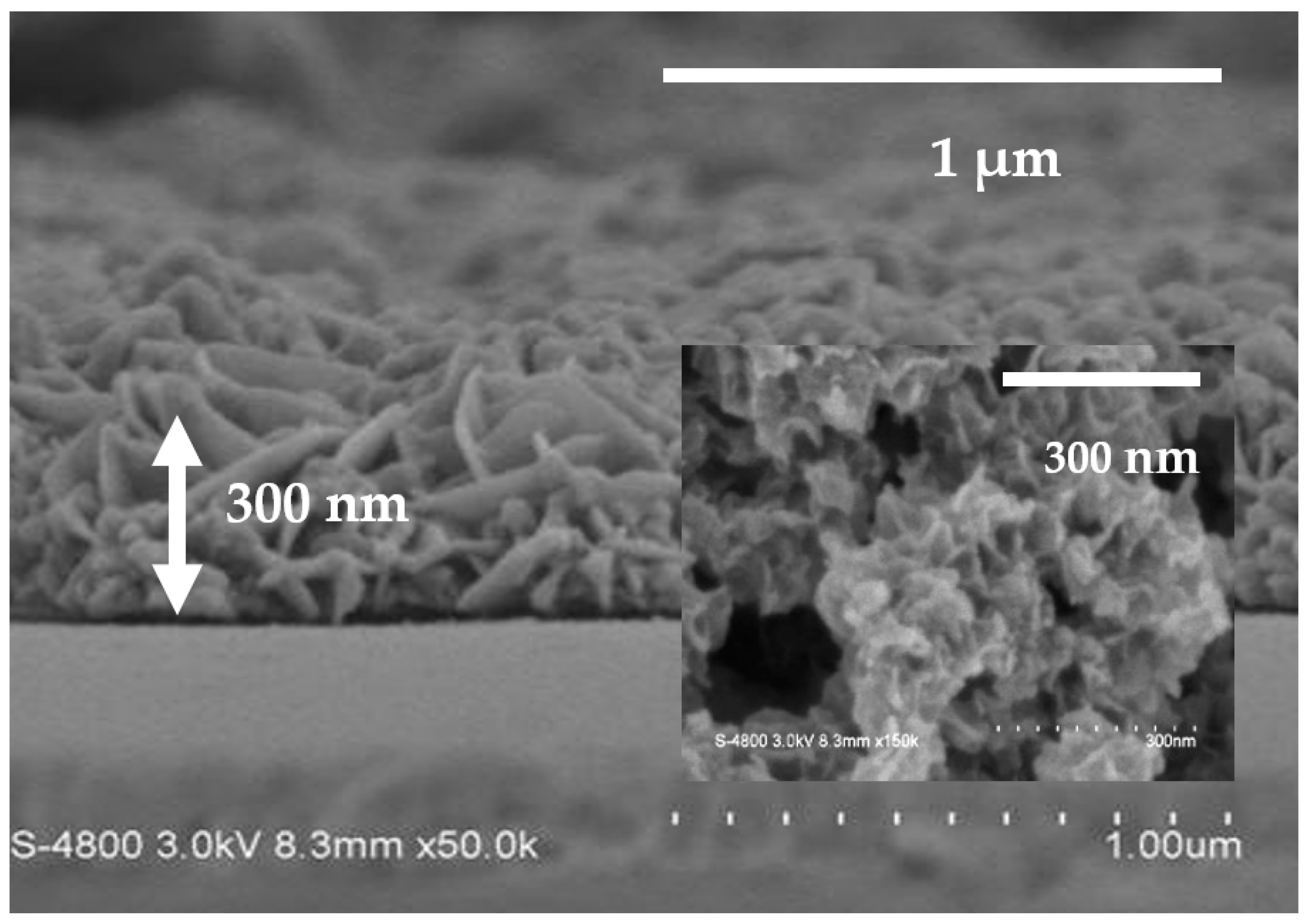 Nanomaterials 13 02371 g001