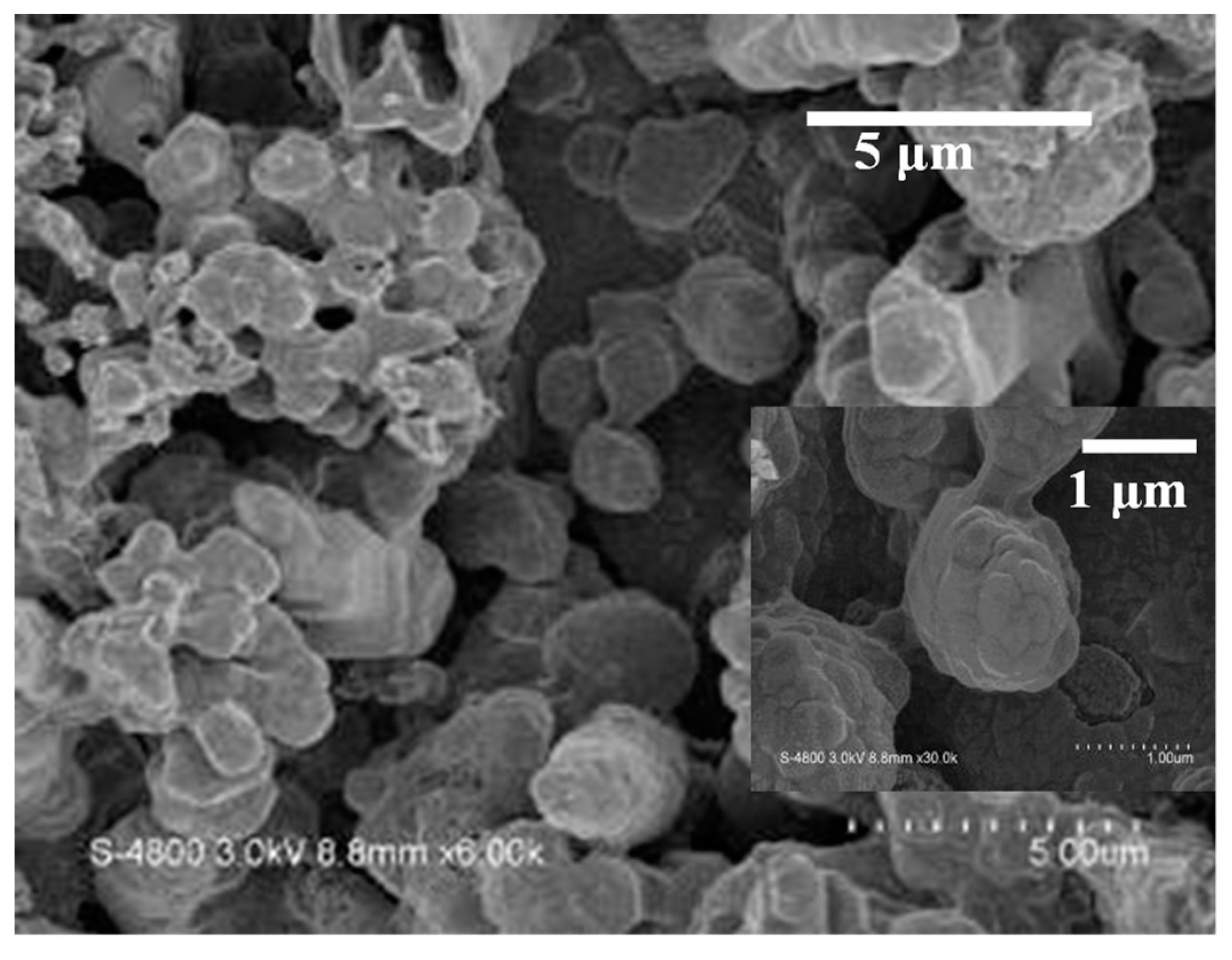 Nanomaterials 13 02371 g006