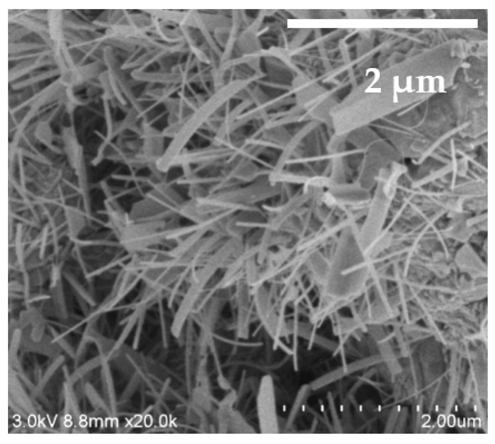 Nanomaterials 13 02371 g008