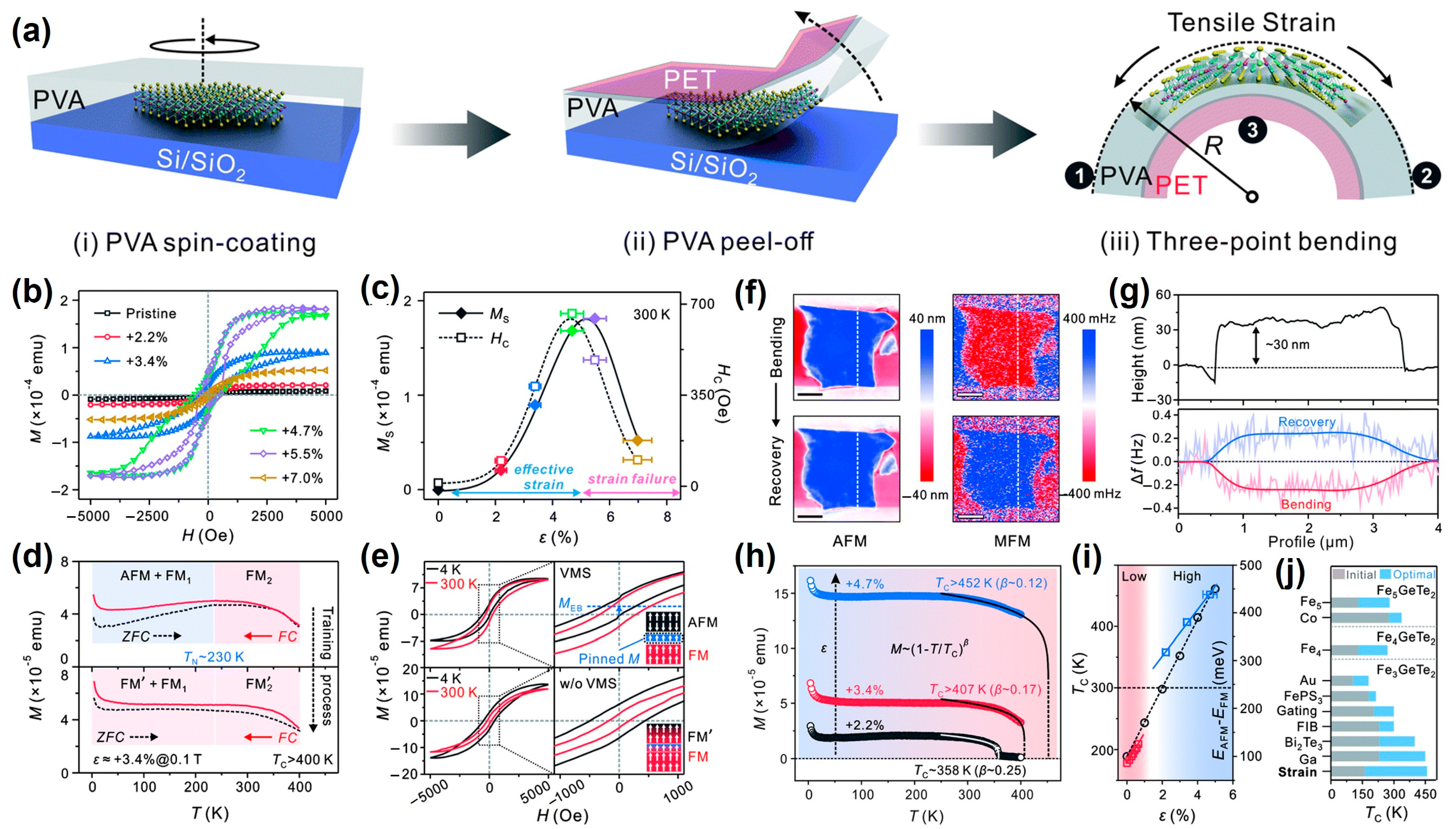 Nanomaterials 13 02378 g010