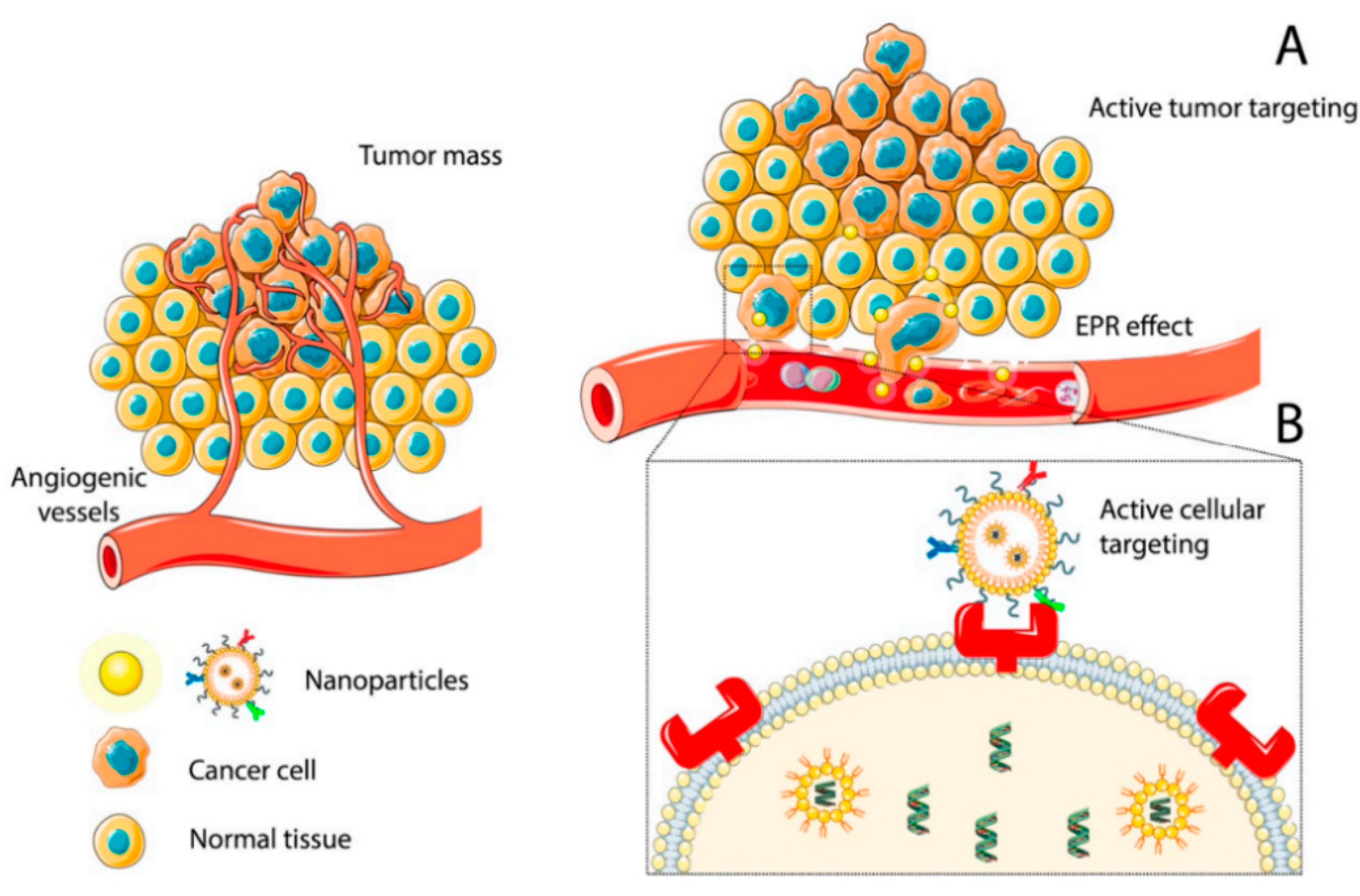 Nanomaterials 13 02380 g001