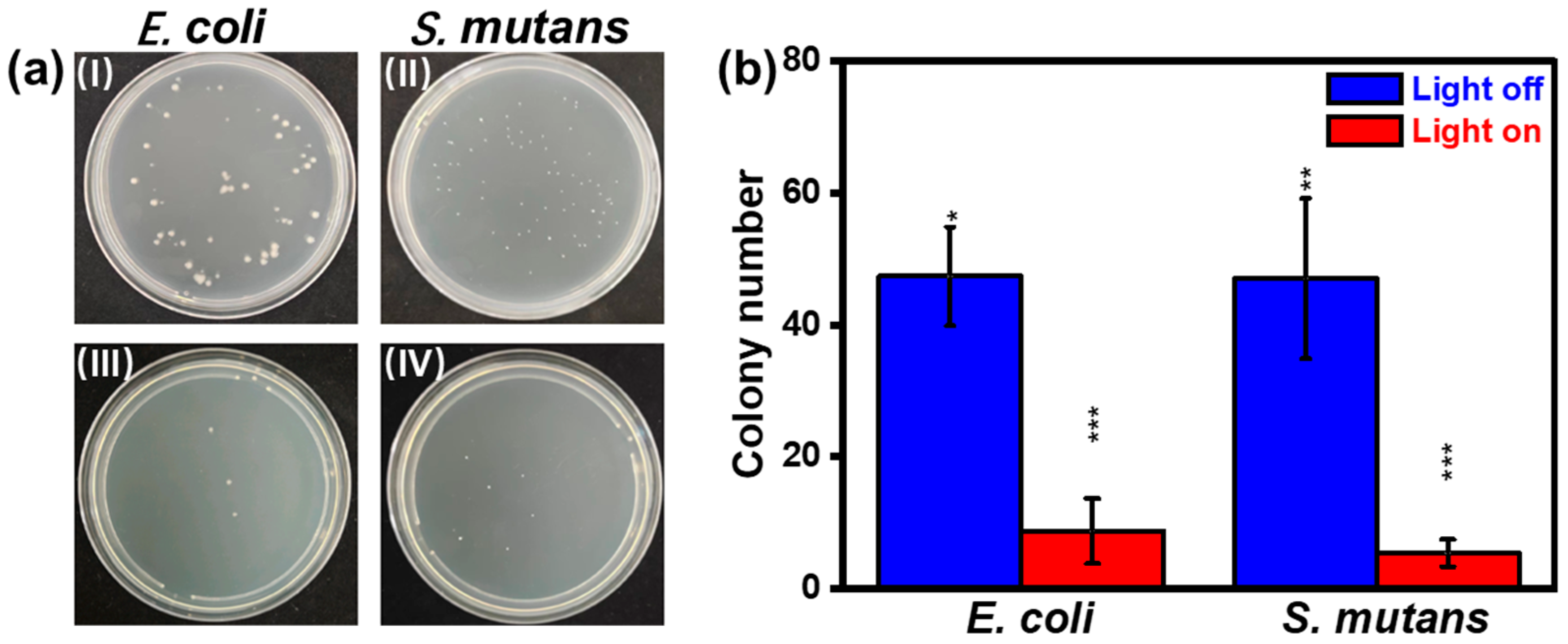 Nanomaterials 13 02381 g006