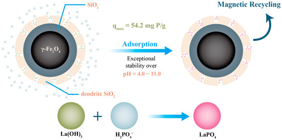 その他 only page Conductive hydrogels as an “innovative healer” for the