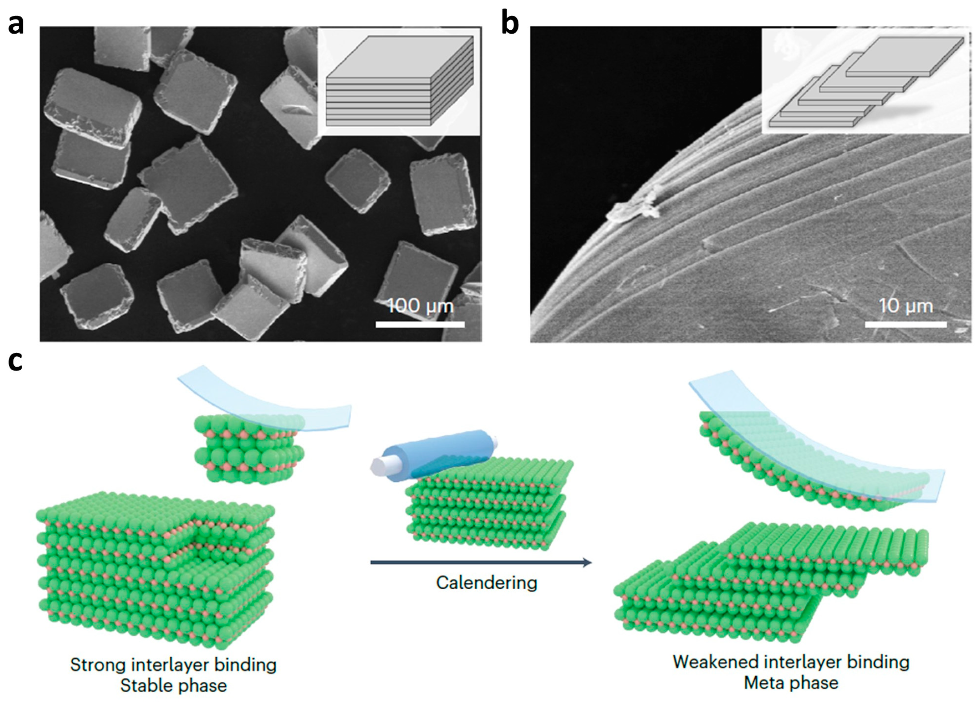 『3年保証』 Nanostructures: Oxide Tin/Tin Formation, and Application, ワンピース