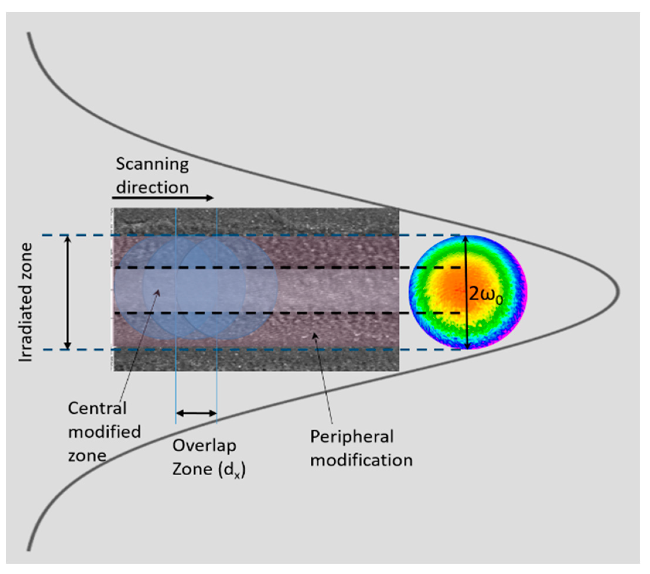 Nanomaterials 13 02396 g001