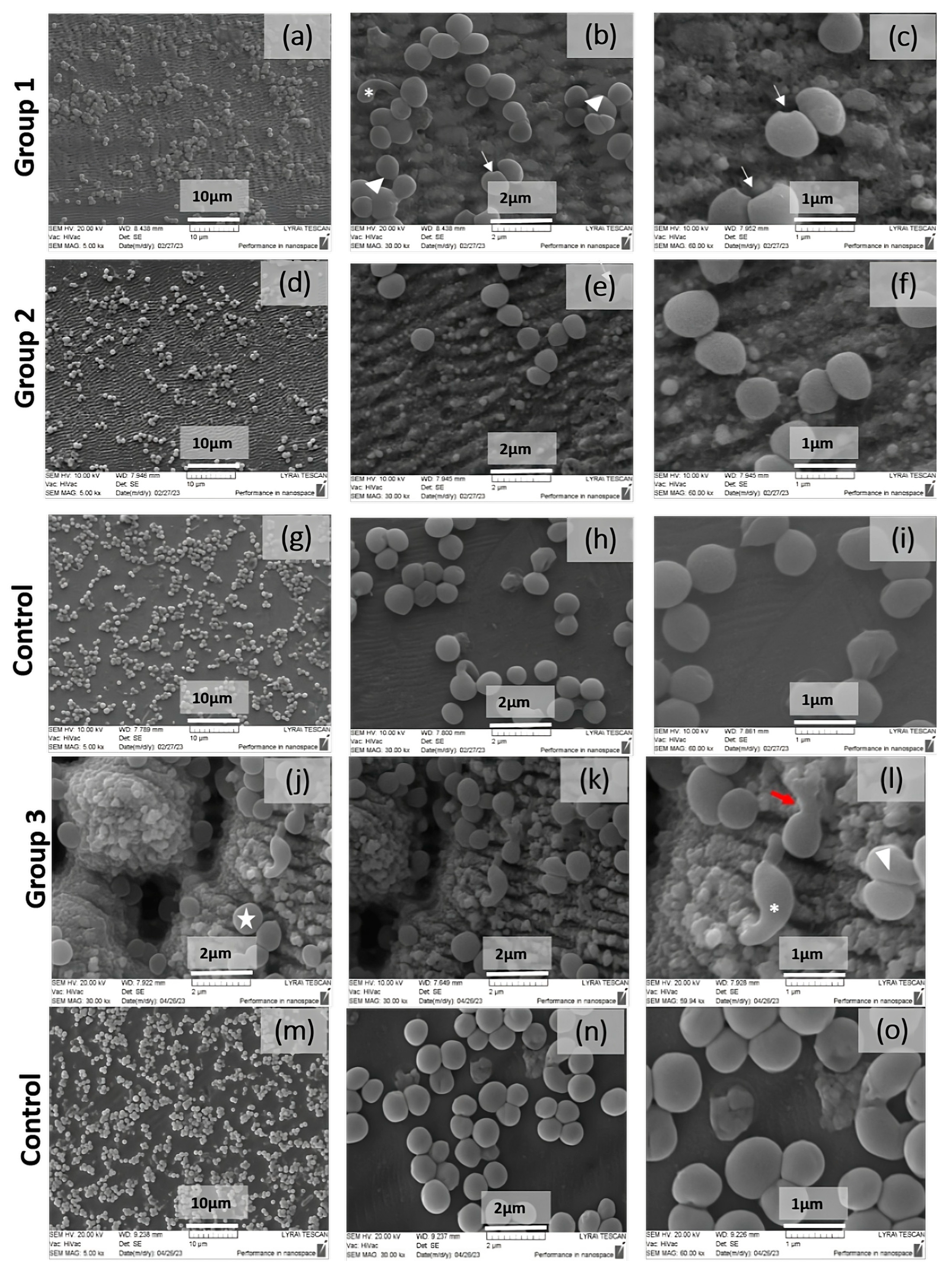 Nanomaterials 13 02396 g016