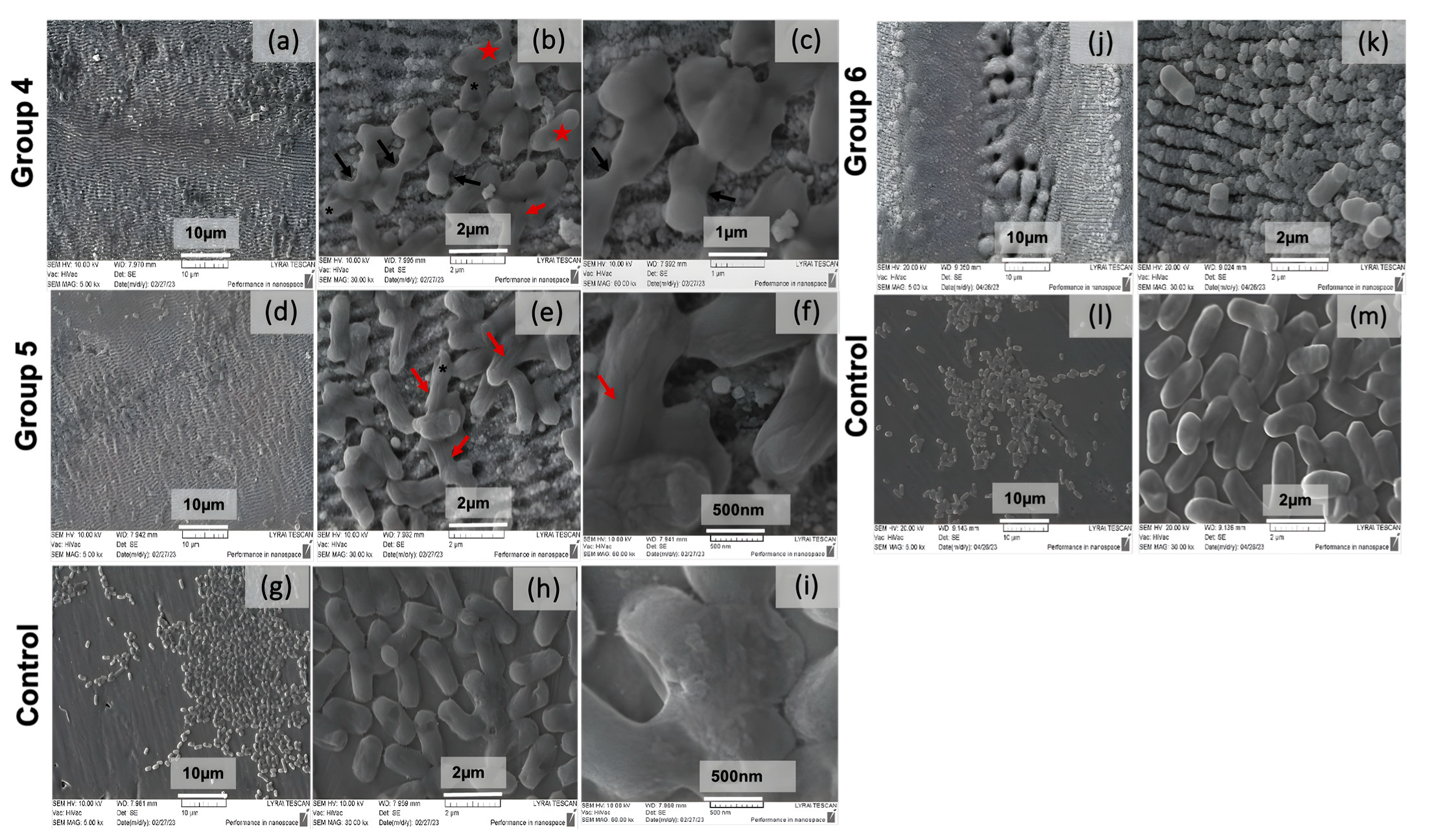 Nanomaterials 13 02396 g017