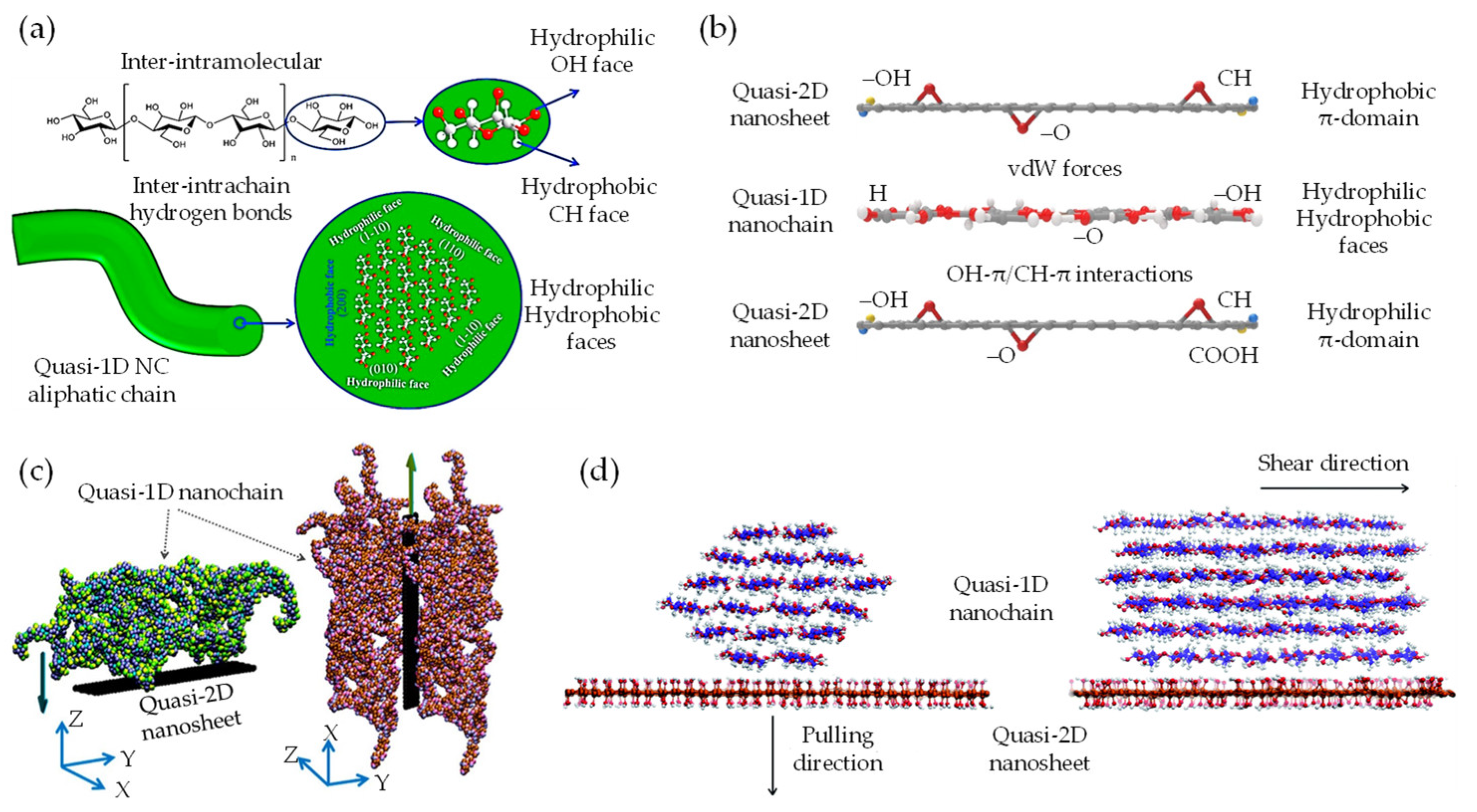 Nanomaterials 13 02399 g007 Nanomaterials 13 02399 g007