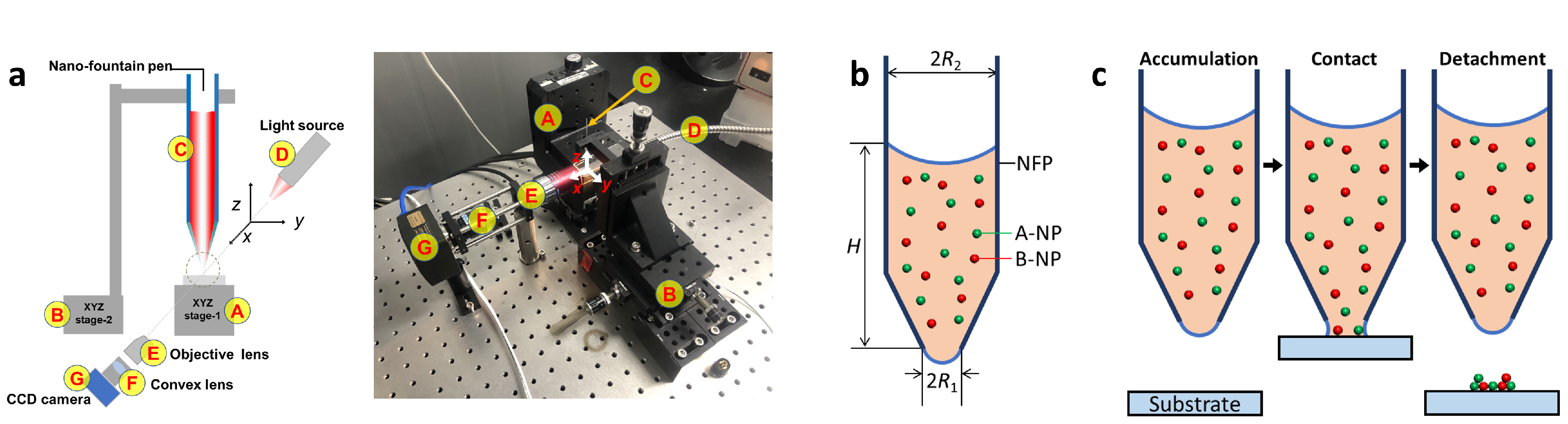 Nanomaterials 13 02403 g001