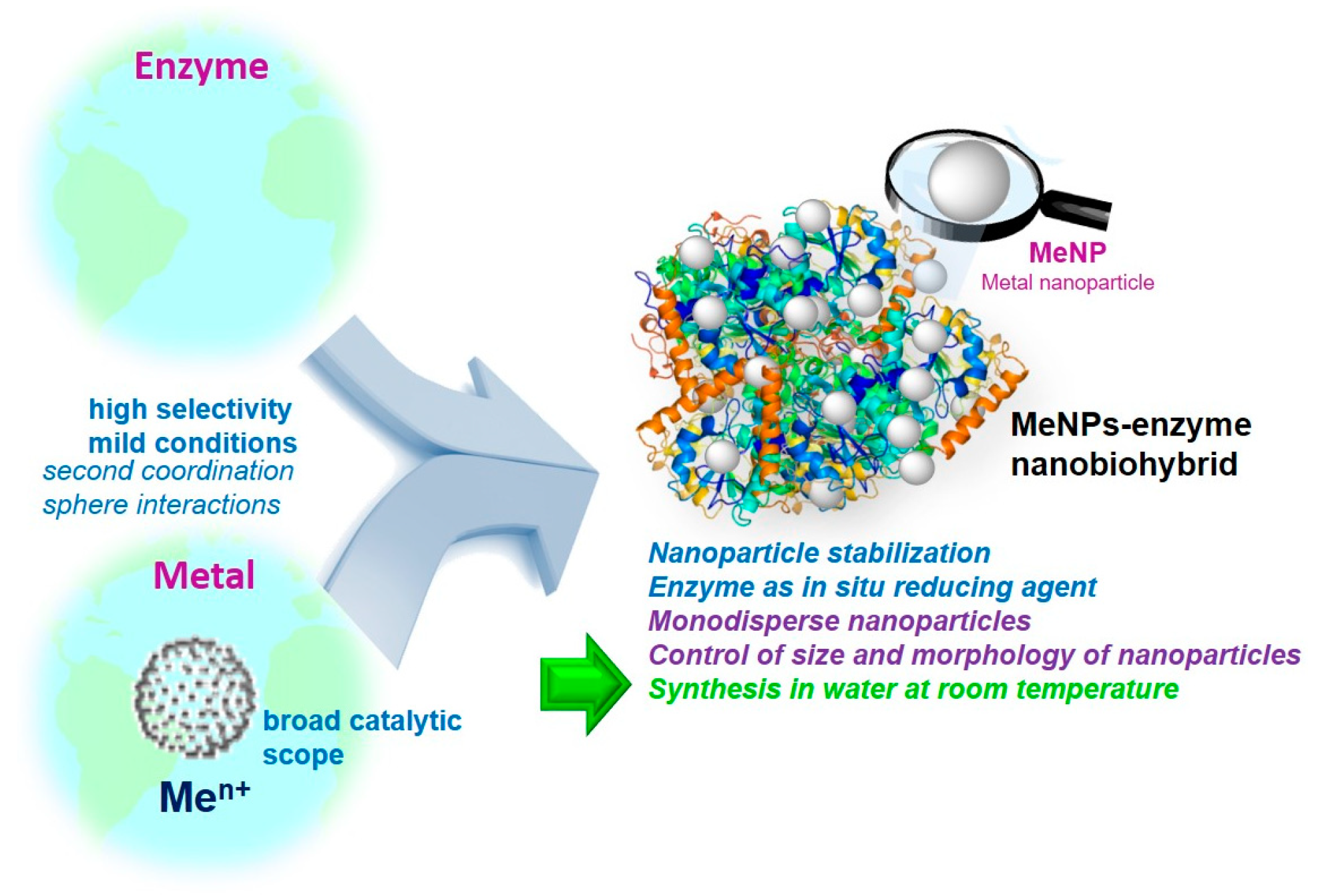 Nanomaterials 13 02406 g002