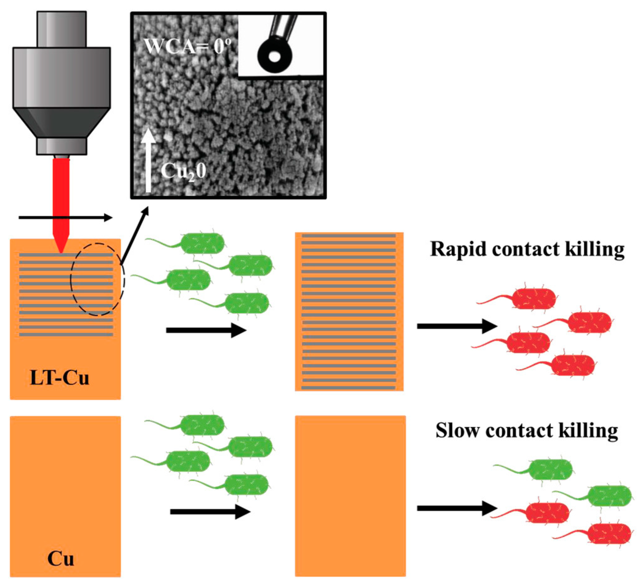 Nanomaterials 13 02406 g004